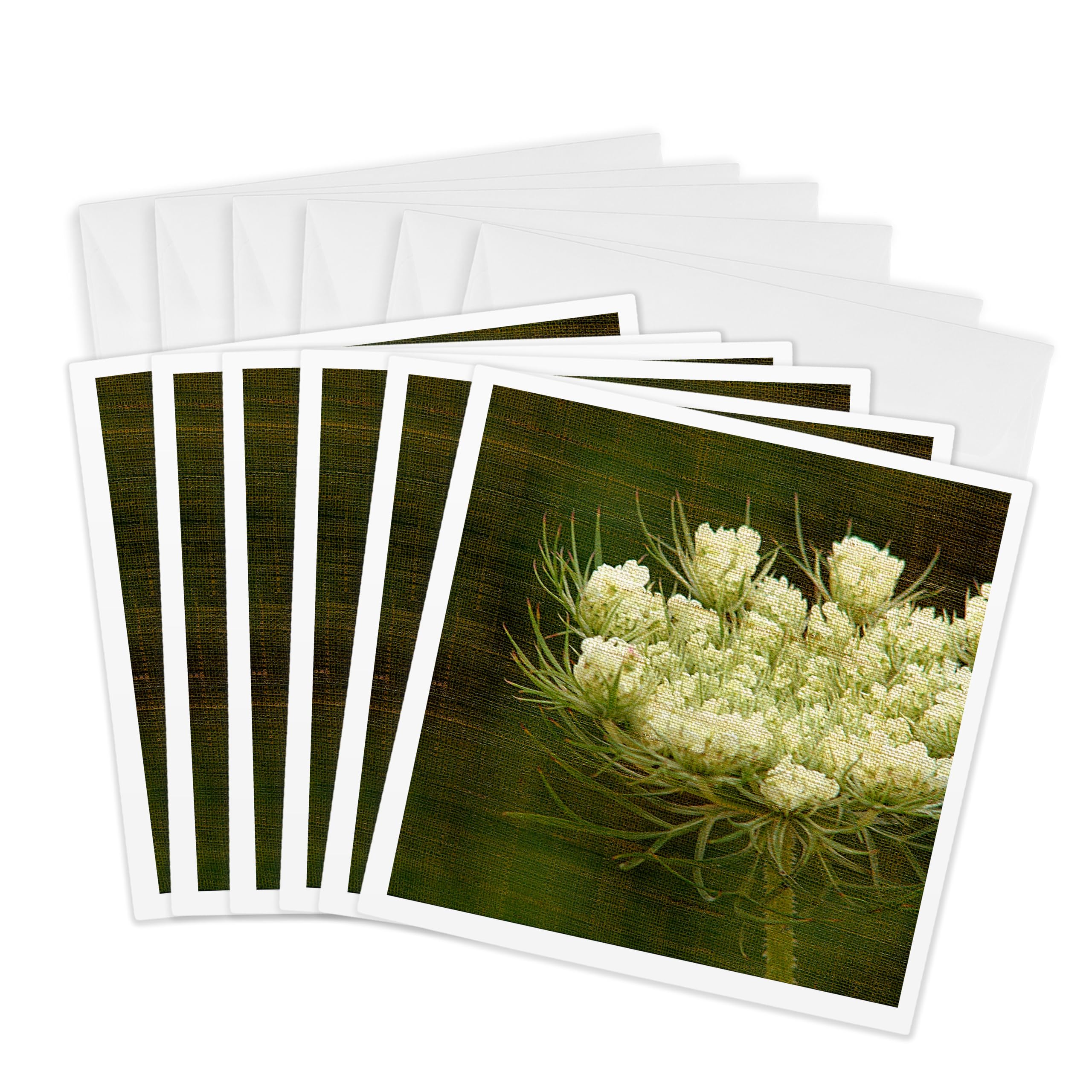 3dRose gc_10931_1 6 x 6-Inch"Queen Annes Lace x Angelandspot" Greeting Card (Pack of 6)
