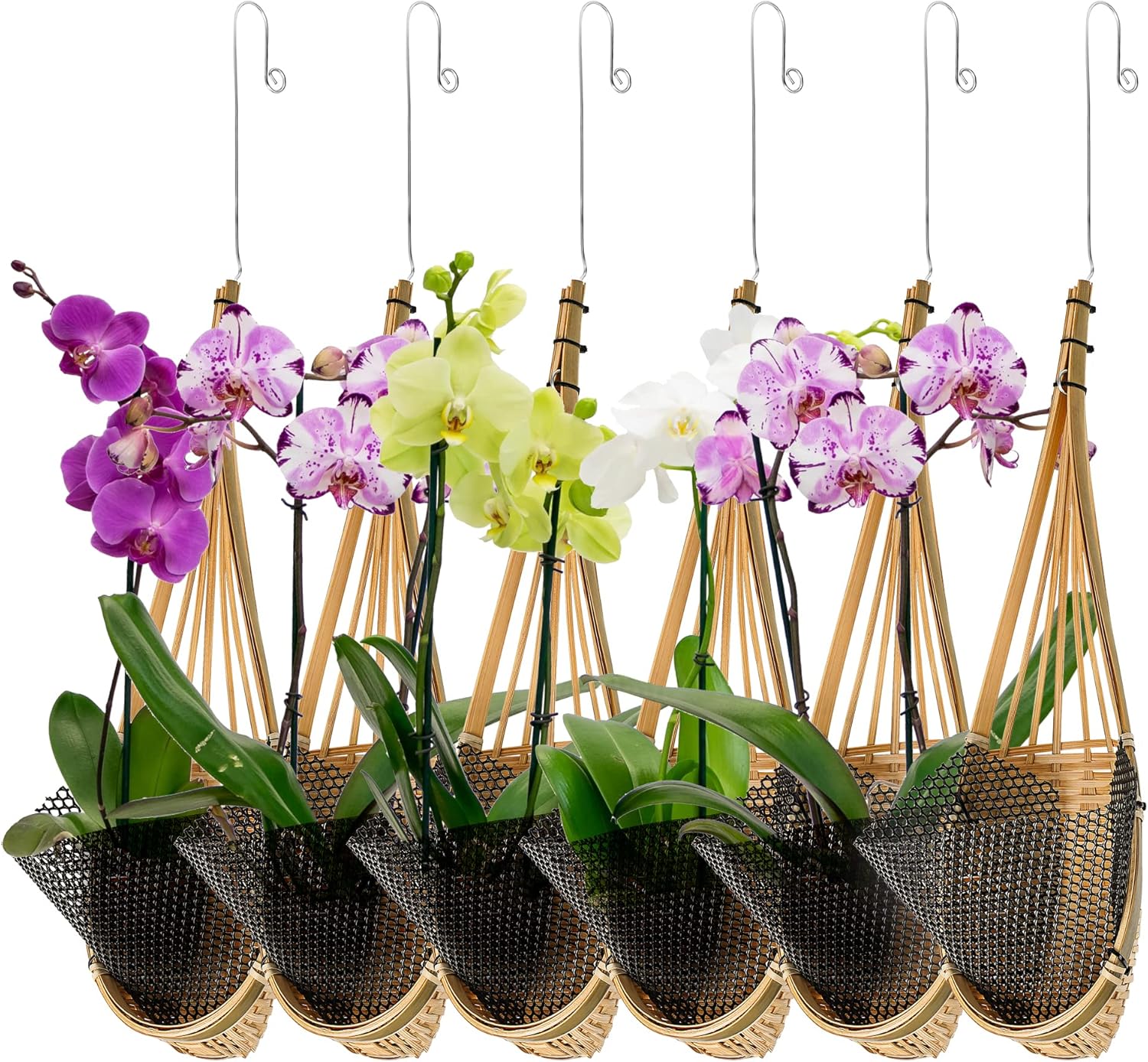 Kitypartsy Hanging Orchid Planter,6 Pack Thai Bamboo Woven 5 Inch Orchid Hanging Baskets with Metal Hook Bird Nest Style Plant Hangers for Trellis & Gazebo Indoor Outdoor Small Flower Planter
