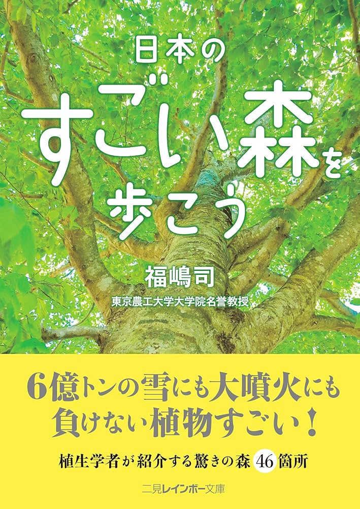 91HyfTcEW-L._AC_UF1000,