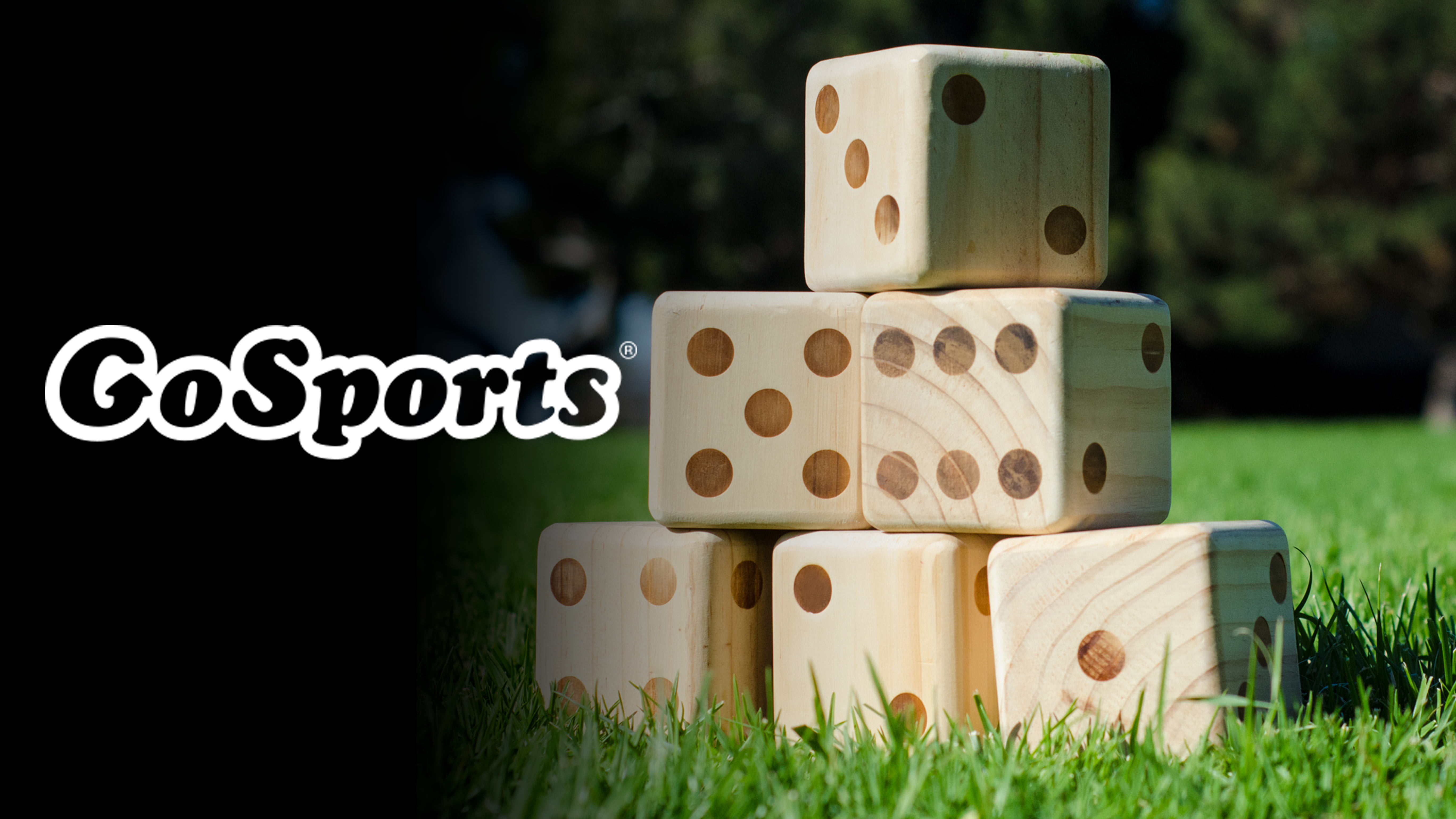 Amazon.com: GoSports Giant 2.5 Inch Wooden Playing Dice Set with
