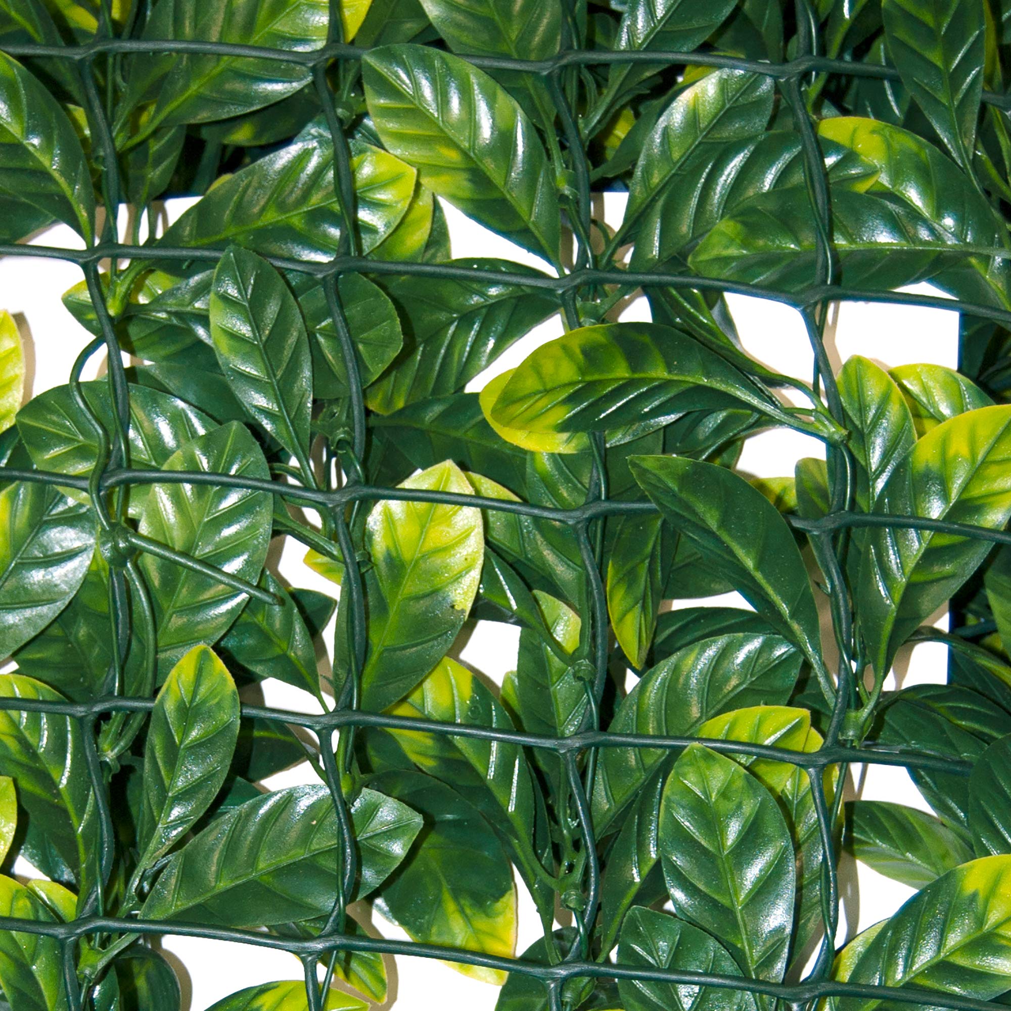 TENAX Divy 3D Plus Laurus, Siepe Sintetica 1,00x3m Foglie Tipo Lauro su Rete di Plastica