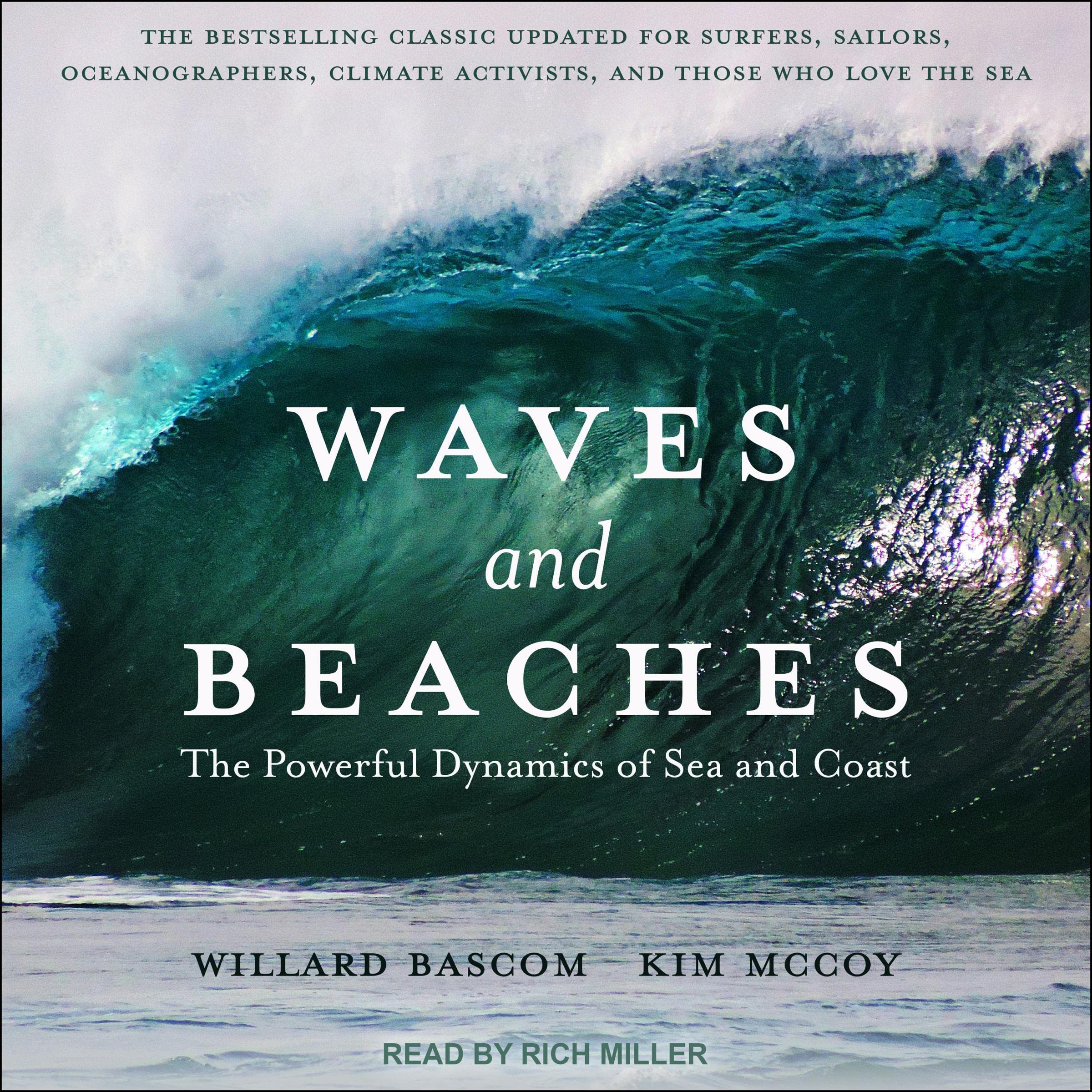 Cover art for Waves and Beaches