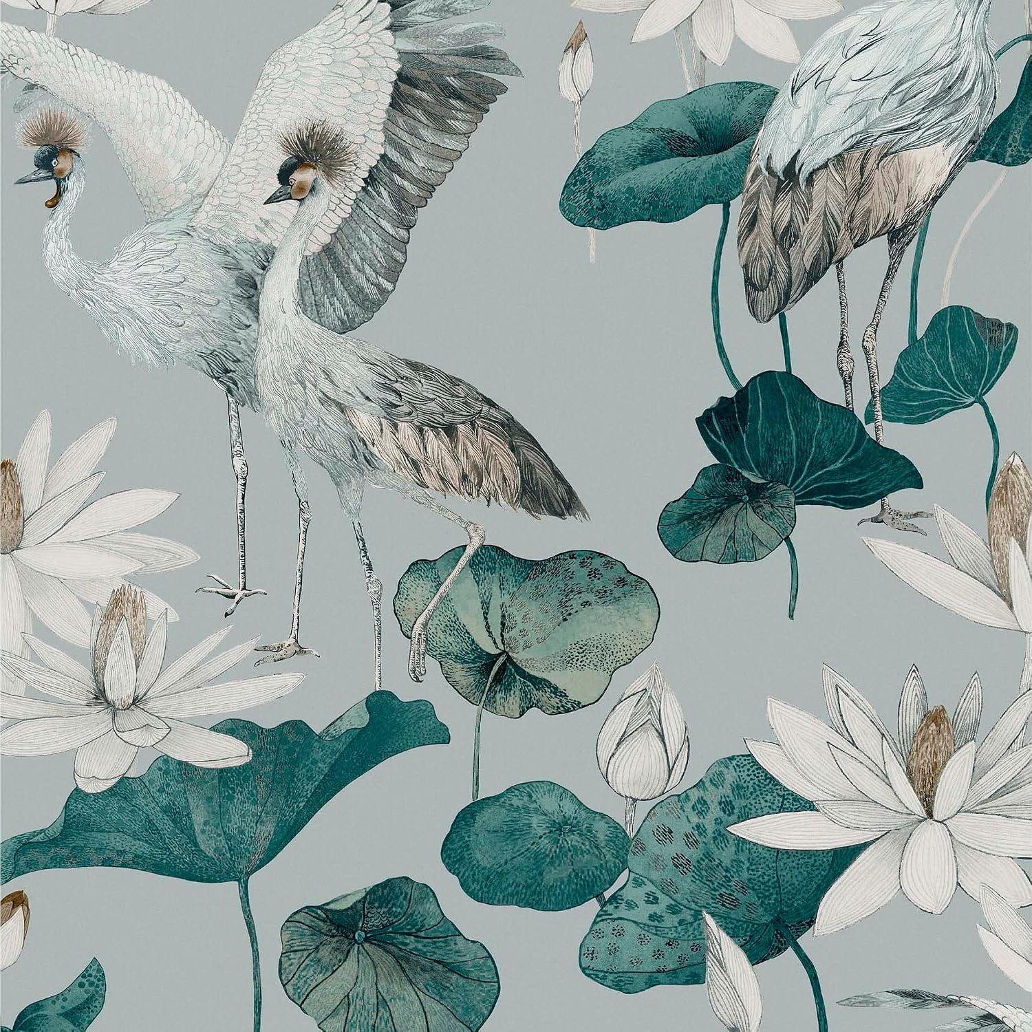 Graham & Brown Teien Birds Tropical Paste The Wall Wallpaper (Sea Green)