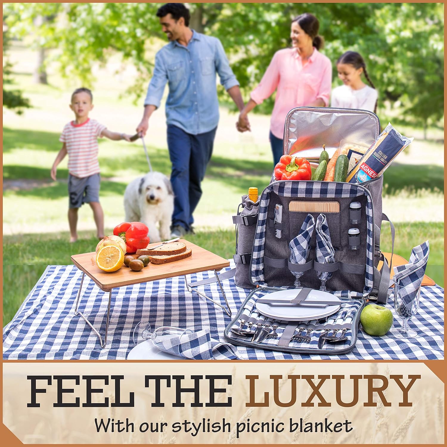 Family Picnic Backpack for 4 - Insulated - Gray - Fully Equipped with Ceramic Plates, Cutlery, Non-breakable Glasses, Chopping Board, Bottle Opener, Napkins, S/P Shakers Plus Waterproof Blanket: Kitchen & Dining