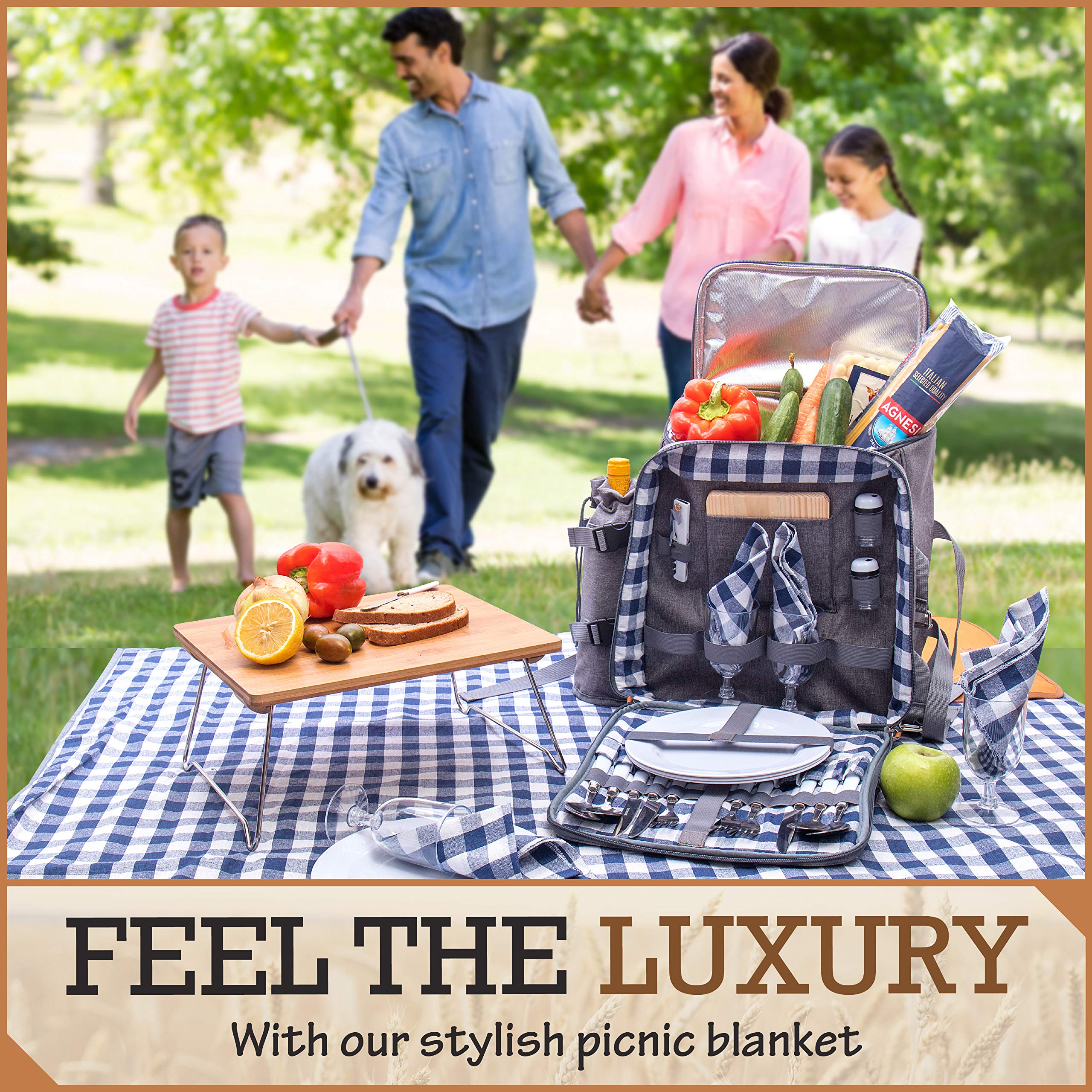 Buy Family Picnic Backpack for 4 Complete Picnic Basket for 4 with