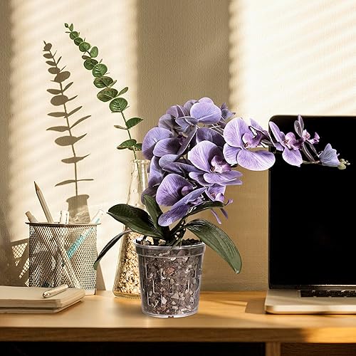 Miniatura 5 de TRUEDAYS Maceta de orquídea Paquete de 6 macetas transparentes de 5 pulgadas con orificios de drenaje para trasplantar Ideal para un crecimiento