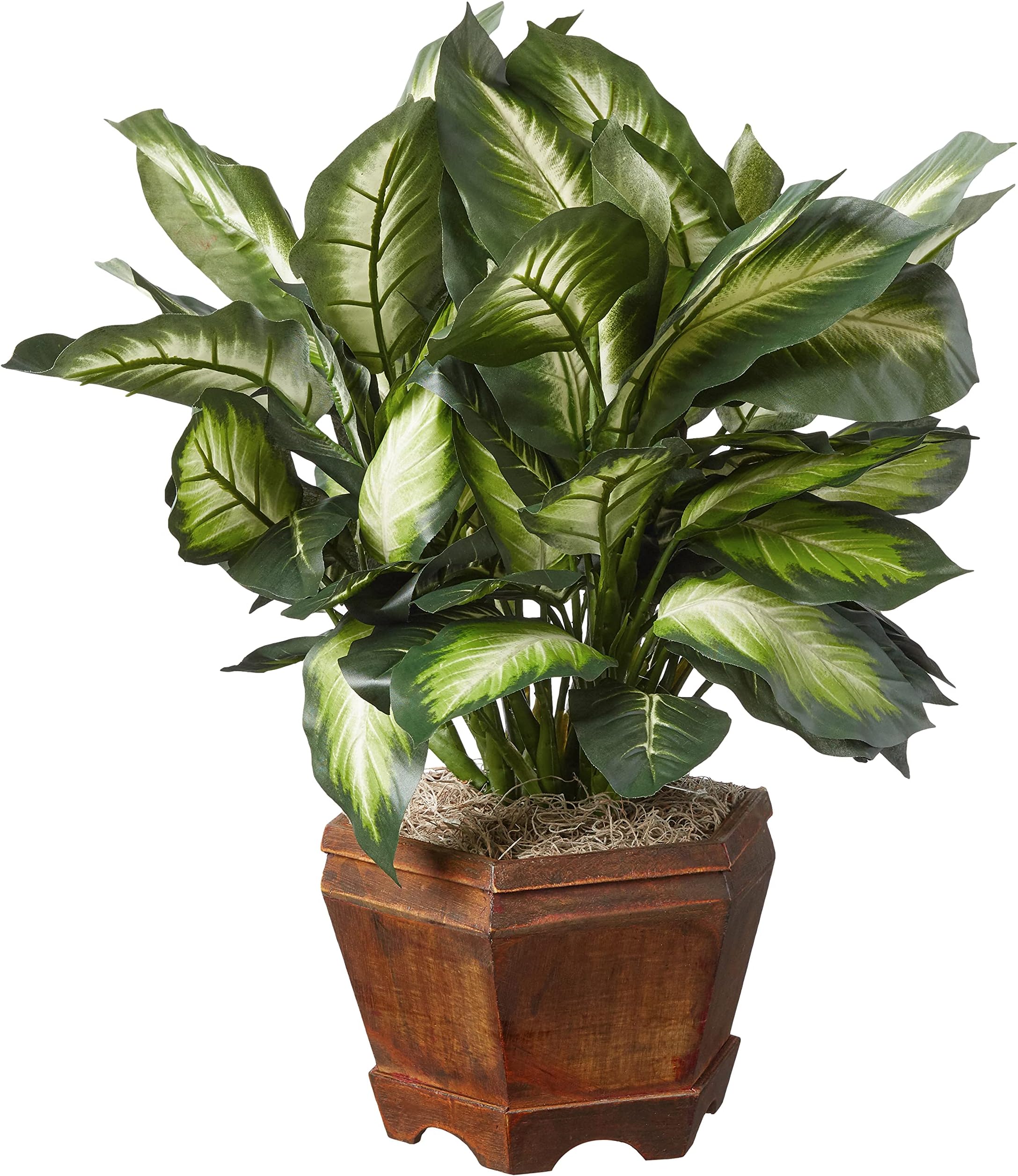 Nearly Natural 22IN Artificial Triple Golden Dieffenbachia Plant with Decorative Wood Planter, Faux Plant for Indoor Home Décor