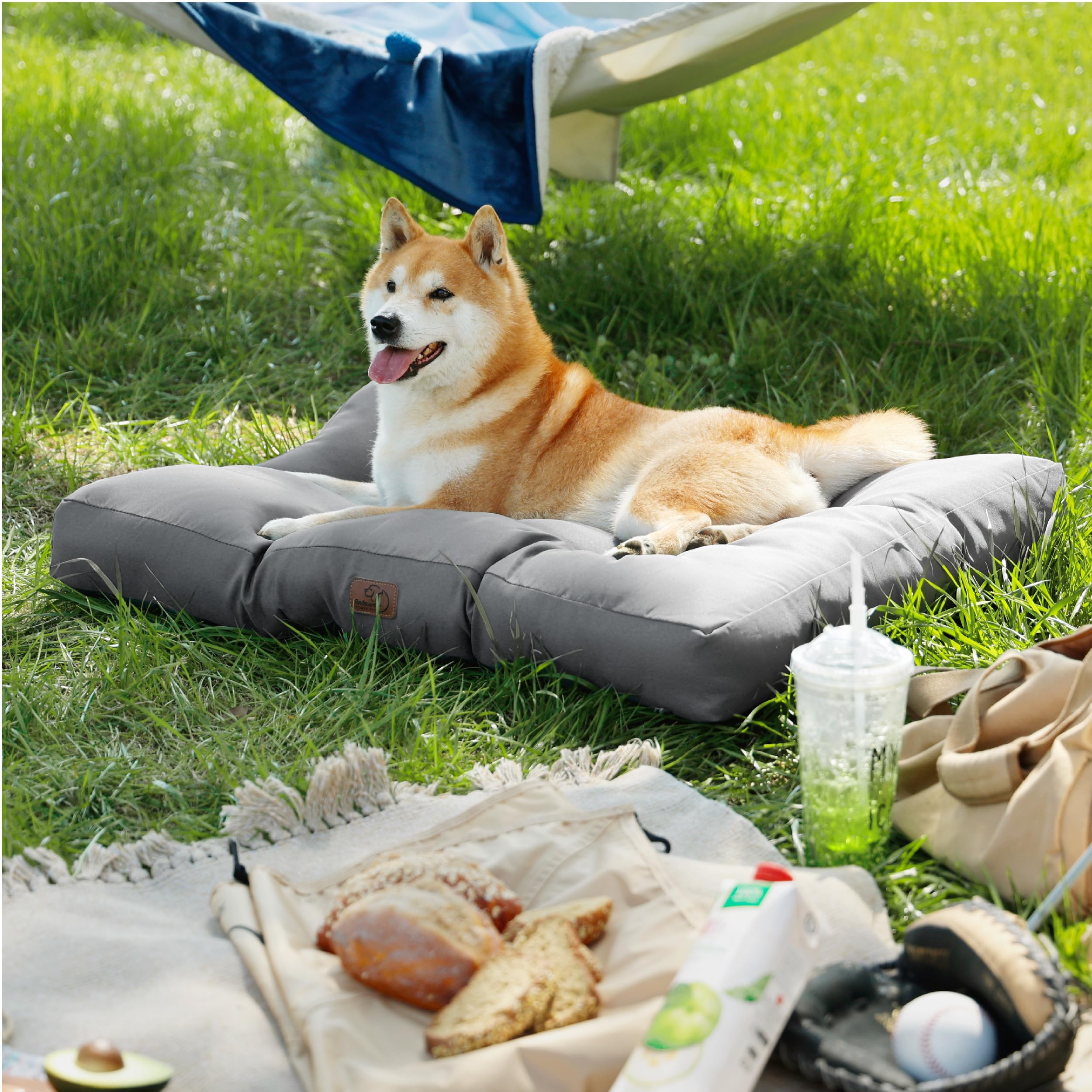 Bedsure Cesto cane di media taglia impermeabile, cuscino cane in tessuto Oxford, tappeto ideale per cani, M, materasso letto per cani, lavabile, grigio, 75 x 50 x 10 cm