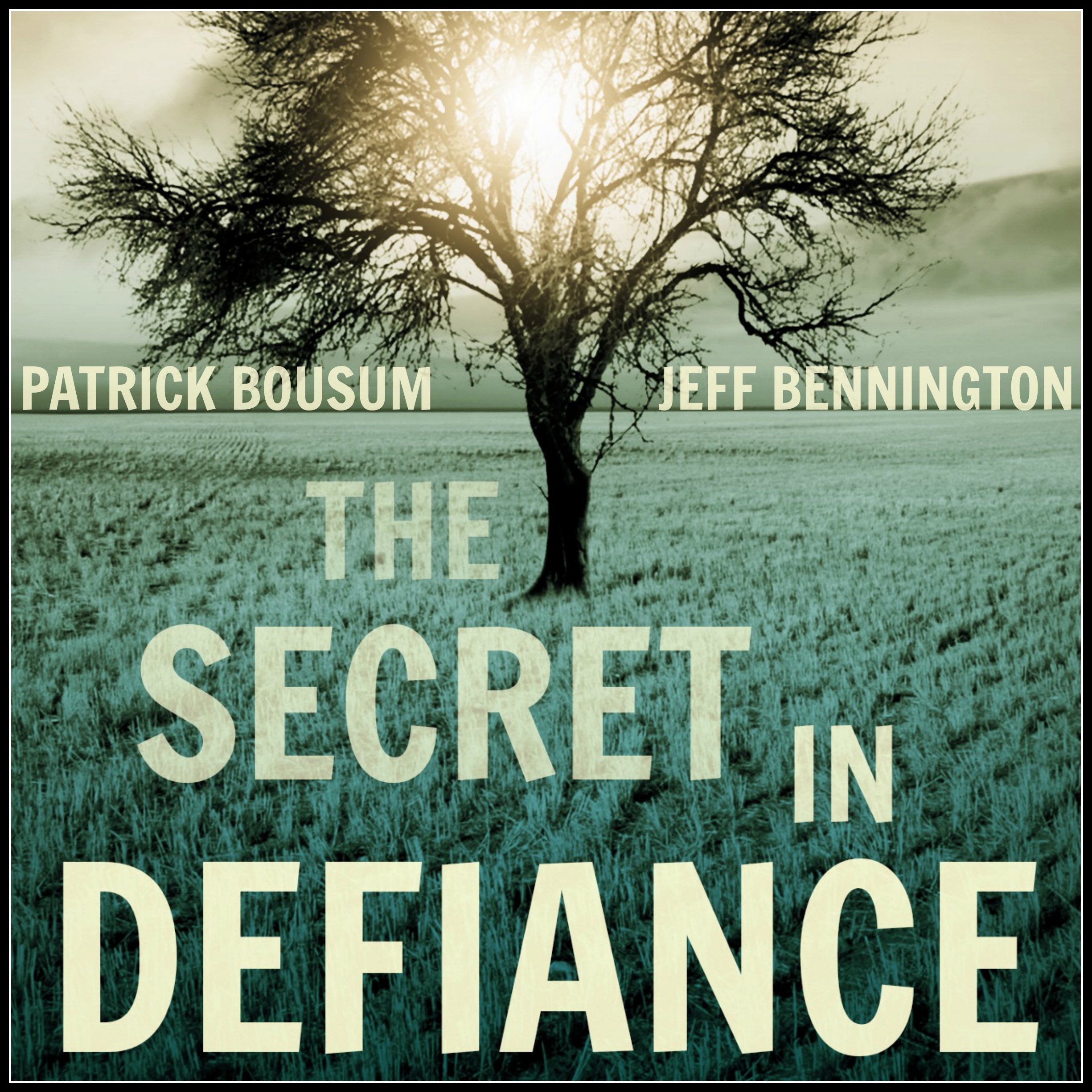 The Secret in Defiance