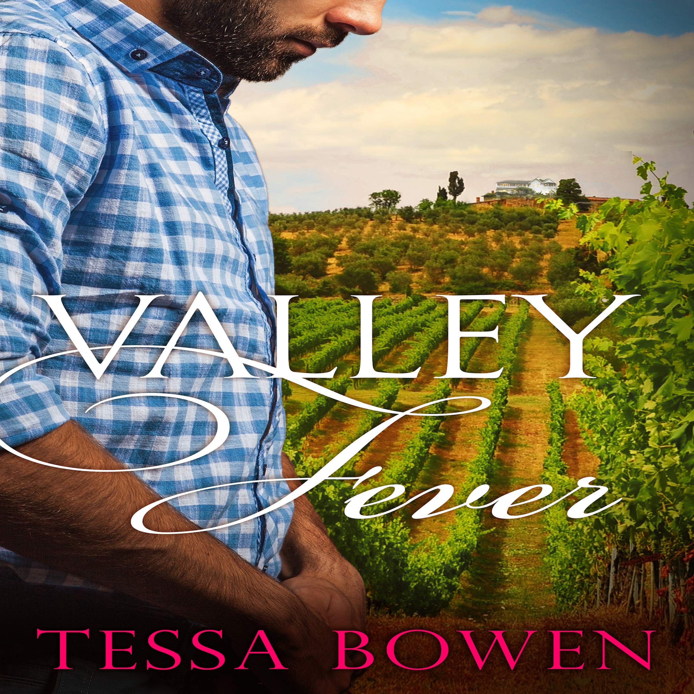 Cover art for Valley Fever