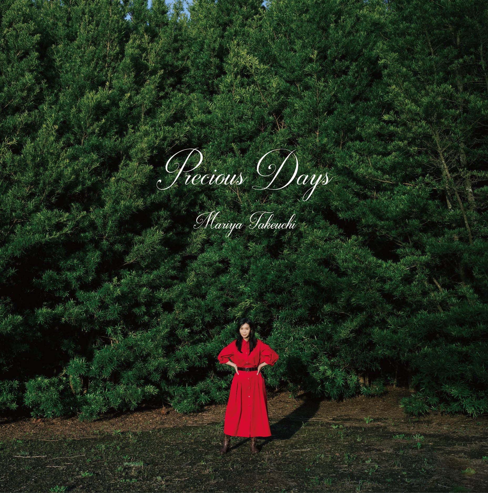 Precious Days [Vinyl LP] [VINYL]