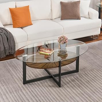 Set of 2 Round End Side Table with 8mm Tempered Glass Top, 2-Tier Sofa Bedside Table with Cross Metal Leg, 23.8Dia x 24.4H Circle Side Table with Wood Shelf for Living Room Black Metal Leg CJZ-B2616