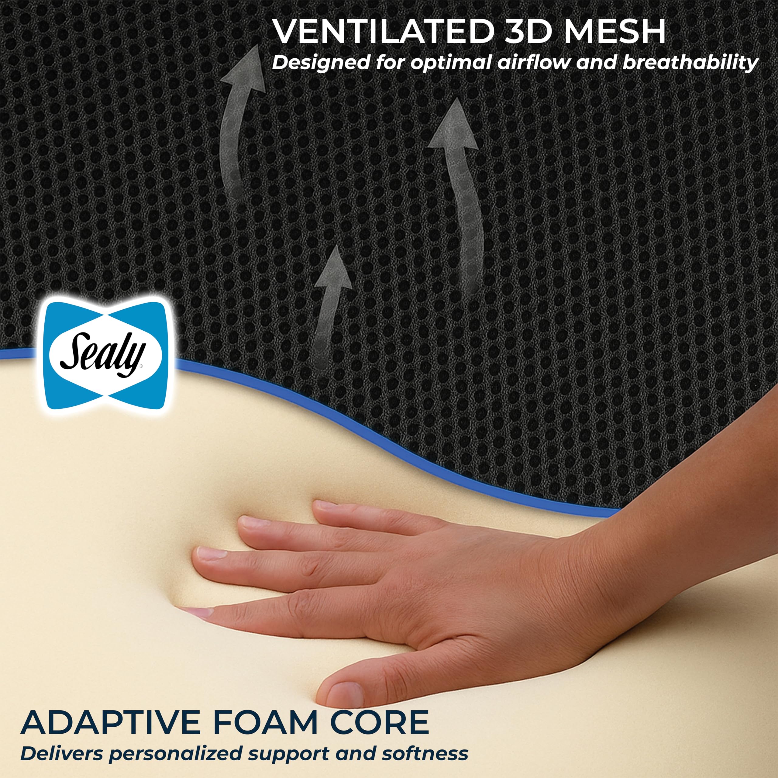 Sealy, Juego de 2 cojines, mejora tu experiencia de asiento con la máxima comodidad y apoyo para el hogar, la oficina y el coche, funda lavable, malla transpirable, espuma viscoelástica de alta