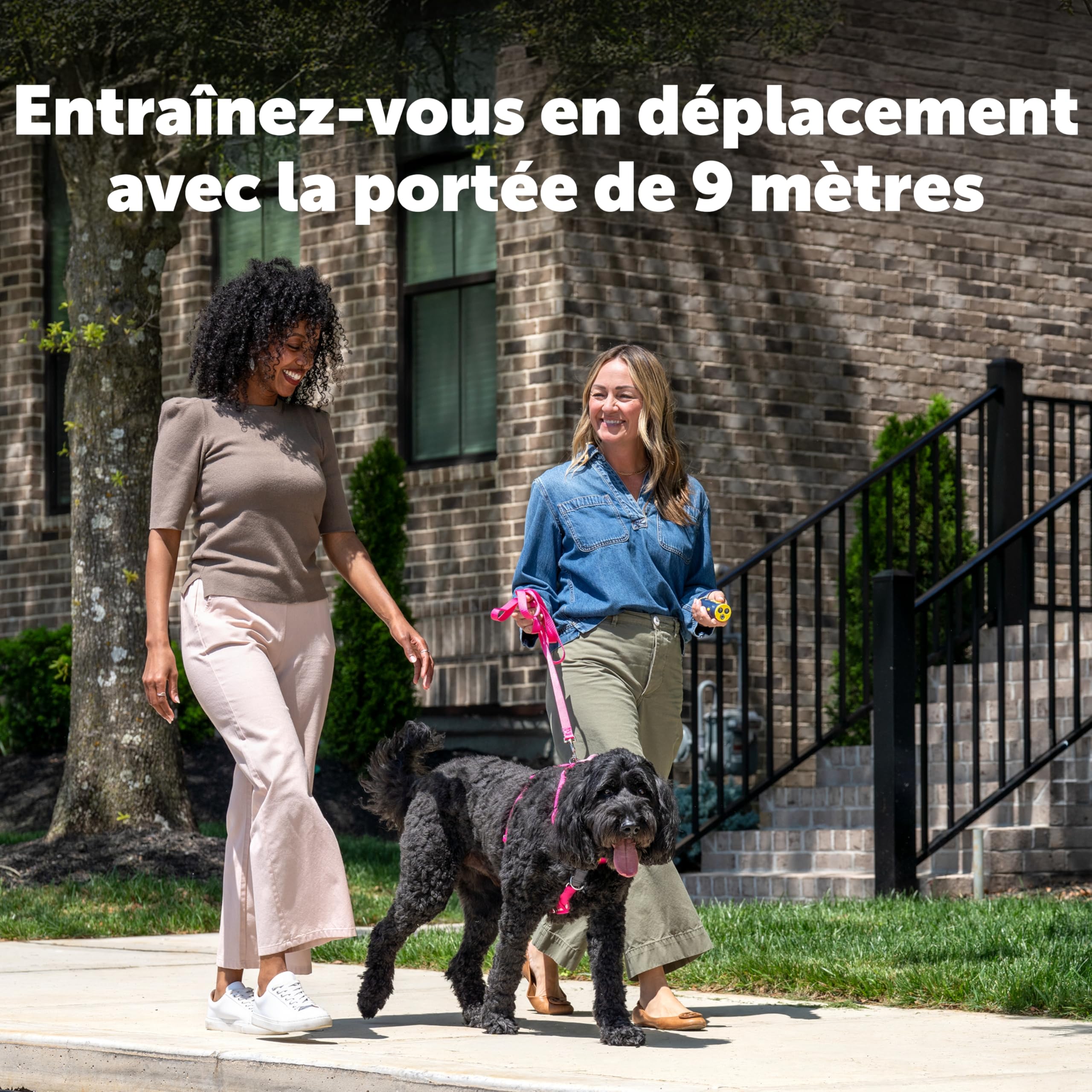 PetSafe Dispositif d'éducation à Ultrason sans Collier