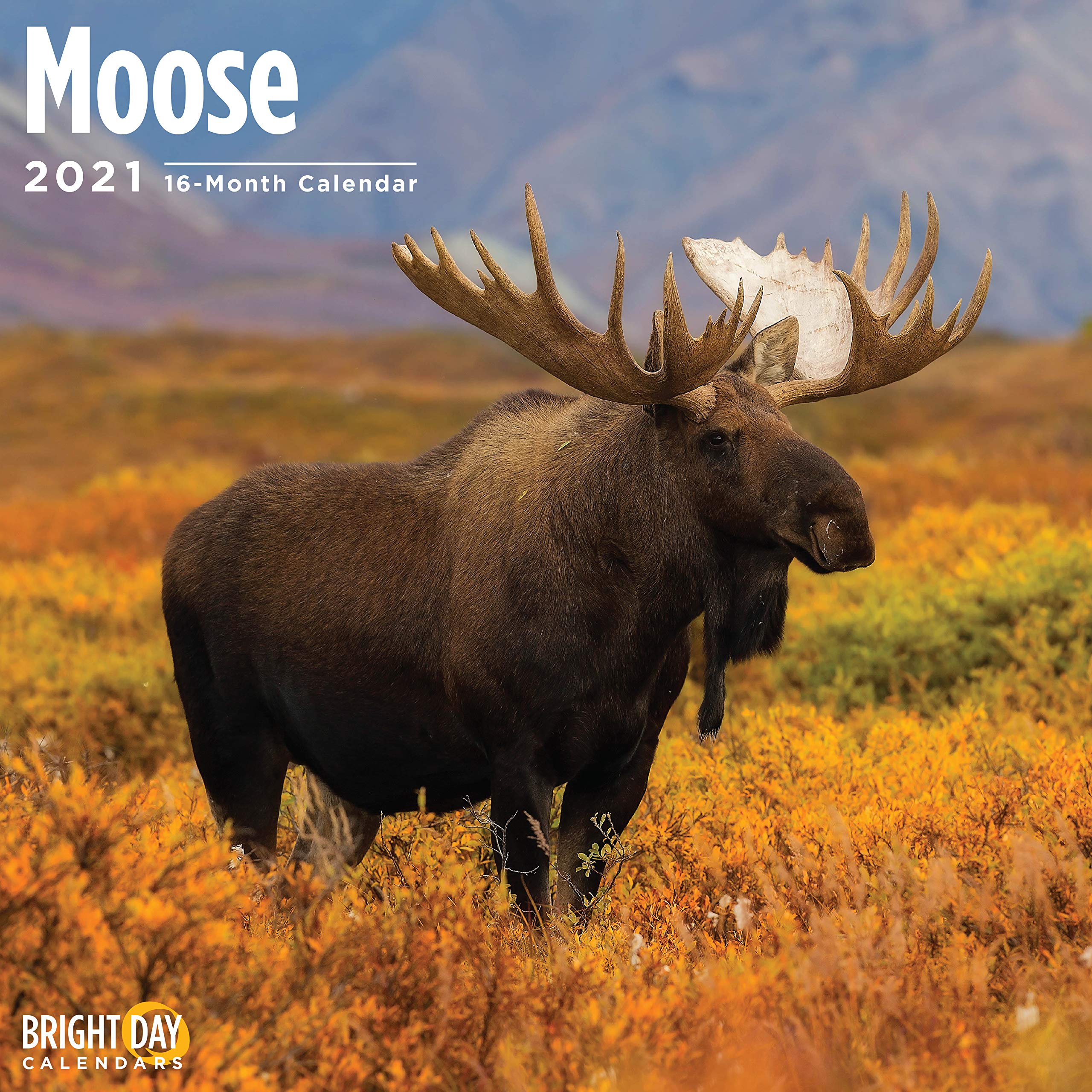 2021 Moose Wall Calendar by Bright Day, 12 x 12 Inch, Majestic Animal Forest Hunting