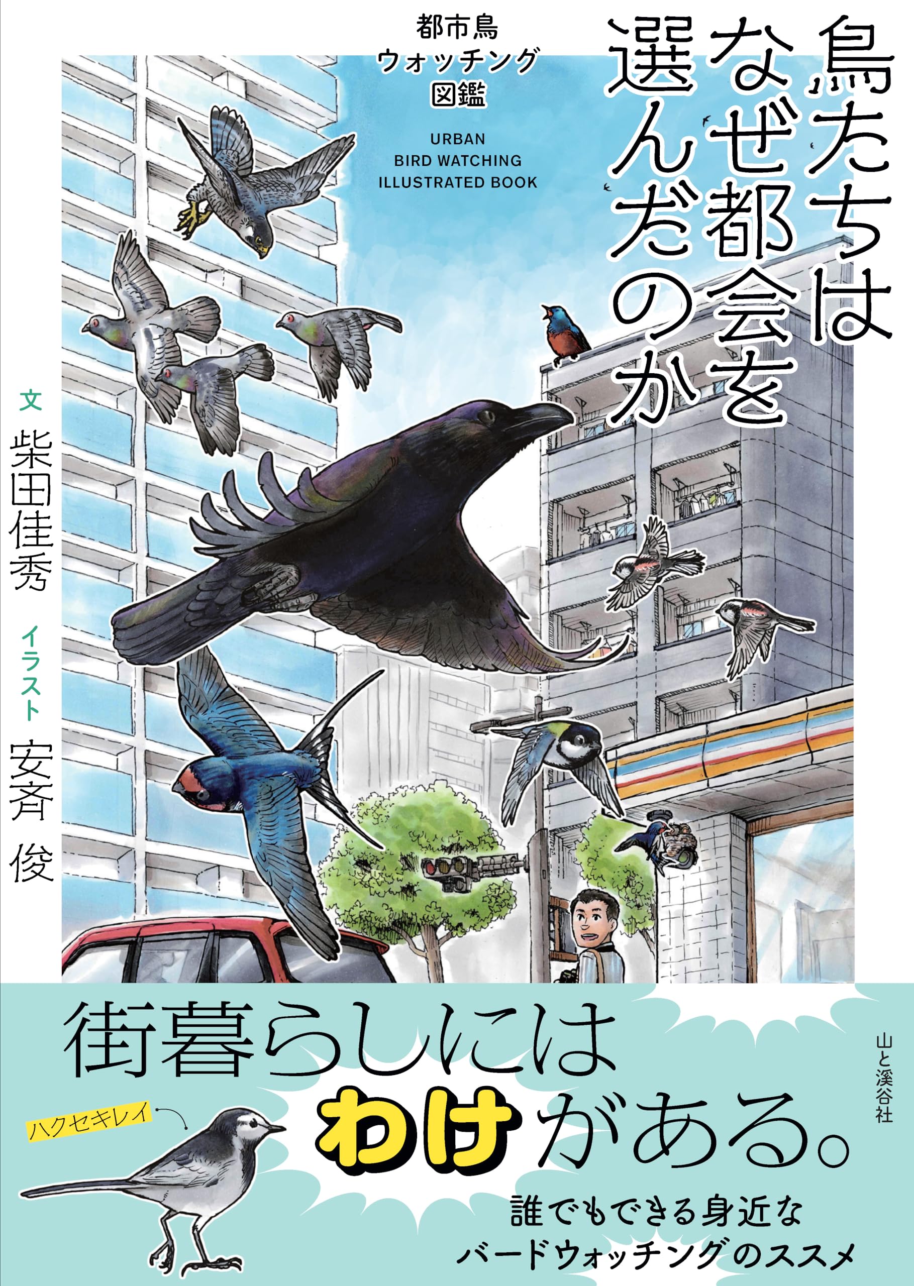 鳥たちはなぜ都会を選んだのか 都市鳥ウォッチング図鑑 | 柴田 佳秀