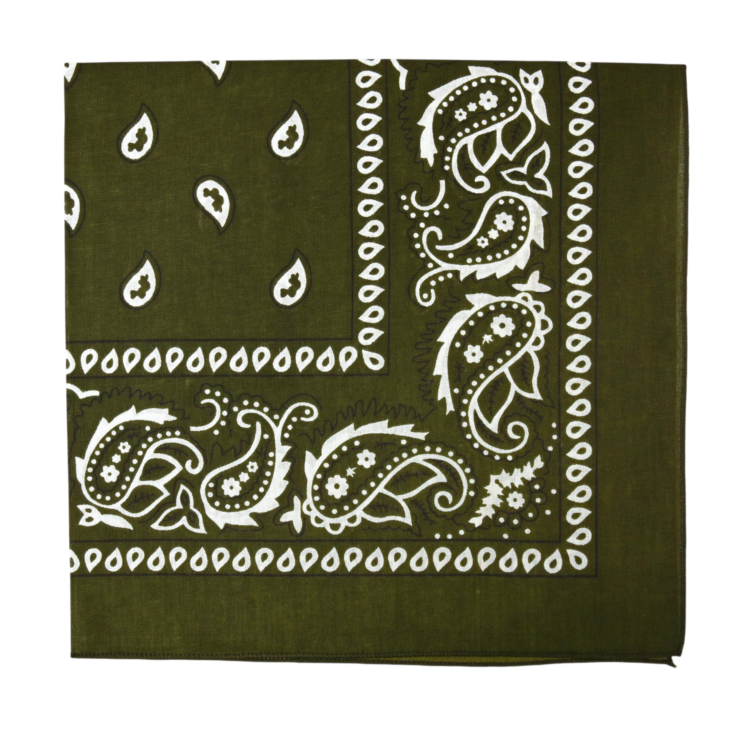Motique Accessories Extra Large Paisley Bandana 27x27 Inch