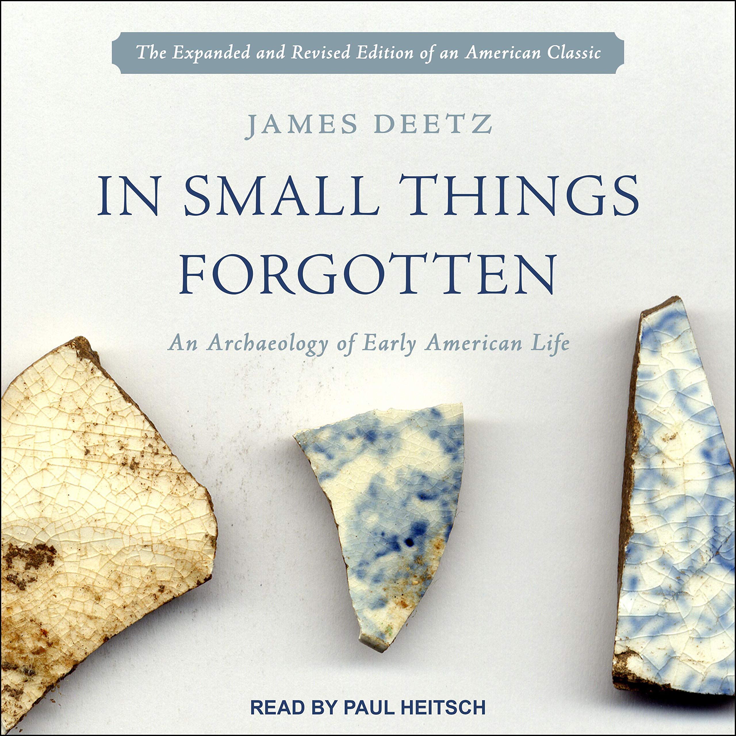 Cover art for In Small Things Forgotten