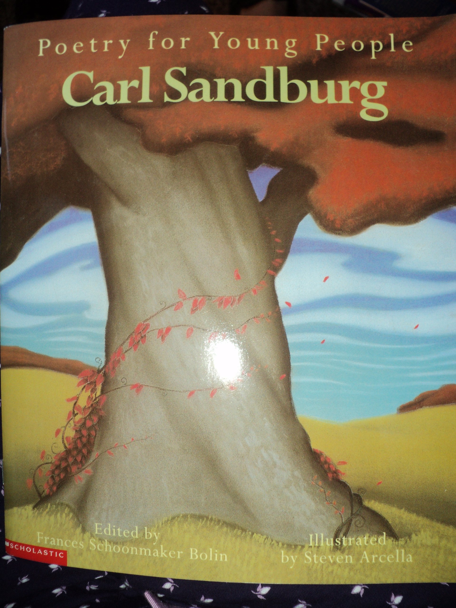 Carl Sandburg [Paperback] carl-sandburg