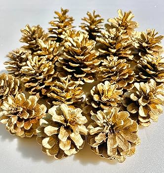 松ぼっくりと人 91I09dUu-lL._UF350,350_QL80_.jpg