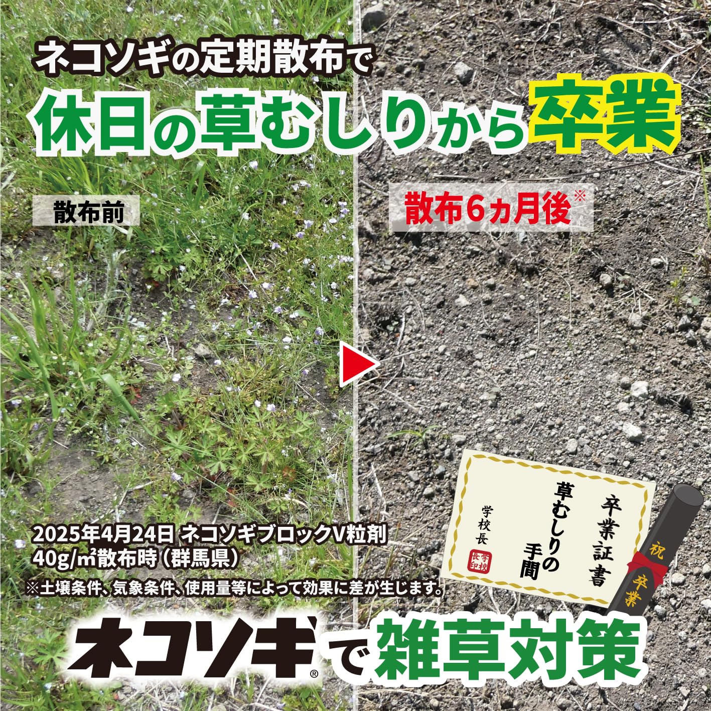 Amazon.co.jp: レインボー薬品 除草剤 ネコソギブロックV粒剤 2kg 長