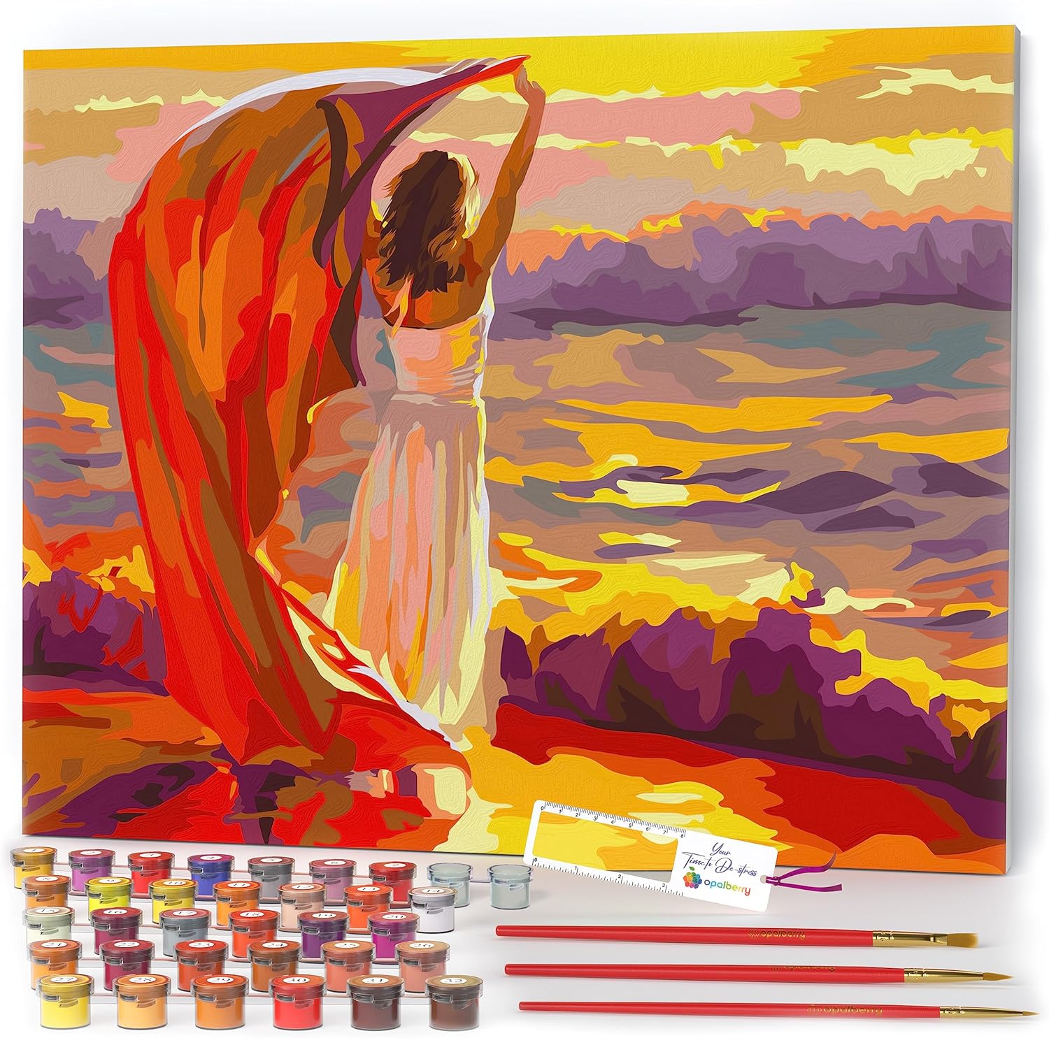 Opalberry Paint by Numbers for Adults Framed Adults