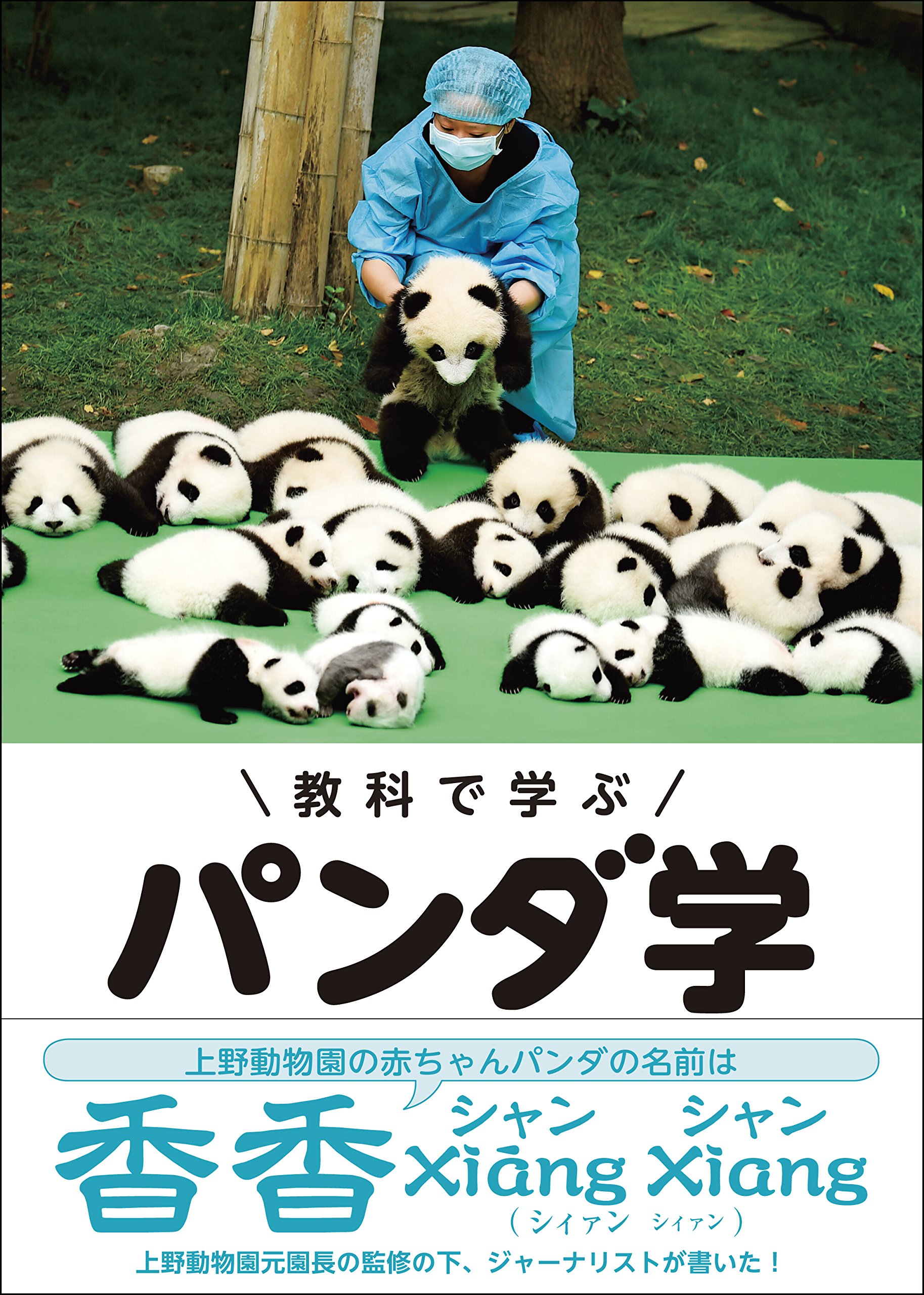 Amazon.co.jp: 教科で学ぶ パンダ学 : 稲葉茂勝, 小宮輝之: 本
