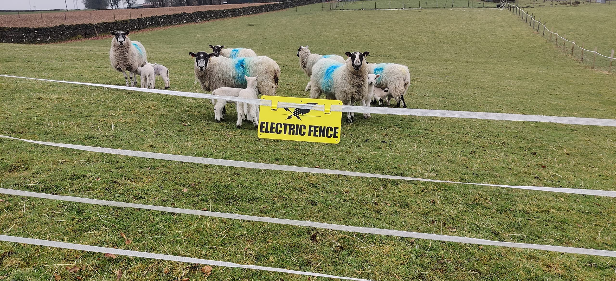 Electric Fence Warning Sign For Tape And Wire, Green, (5.12 x 9.84) inches - Image 2
