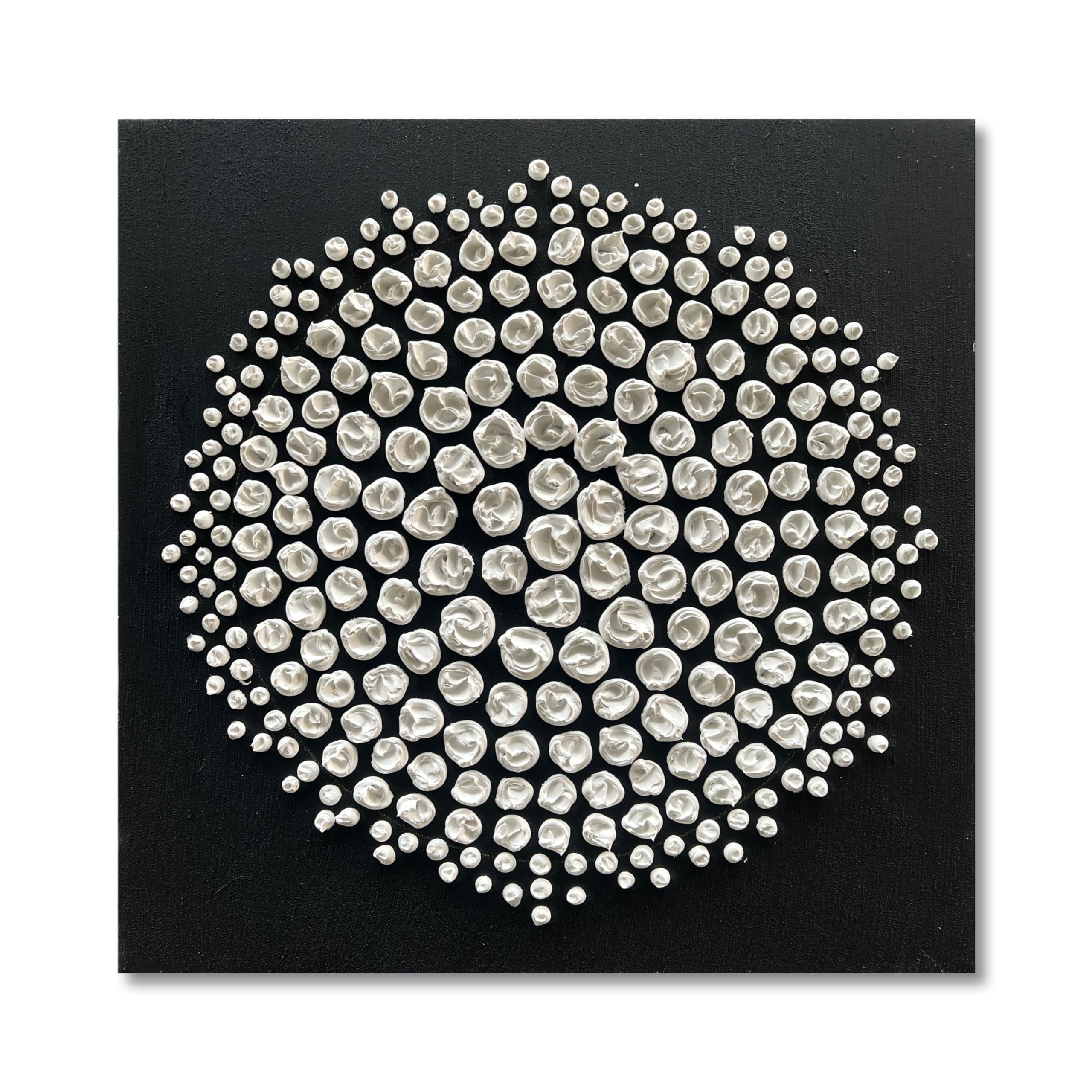 Limiyer Art Black and White Abstract Art Oil Painting Modern Art Oil on Canvas Wall Art Deco 24x24 inches