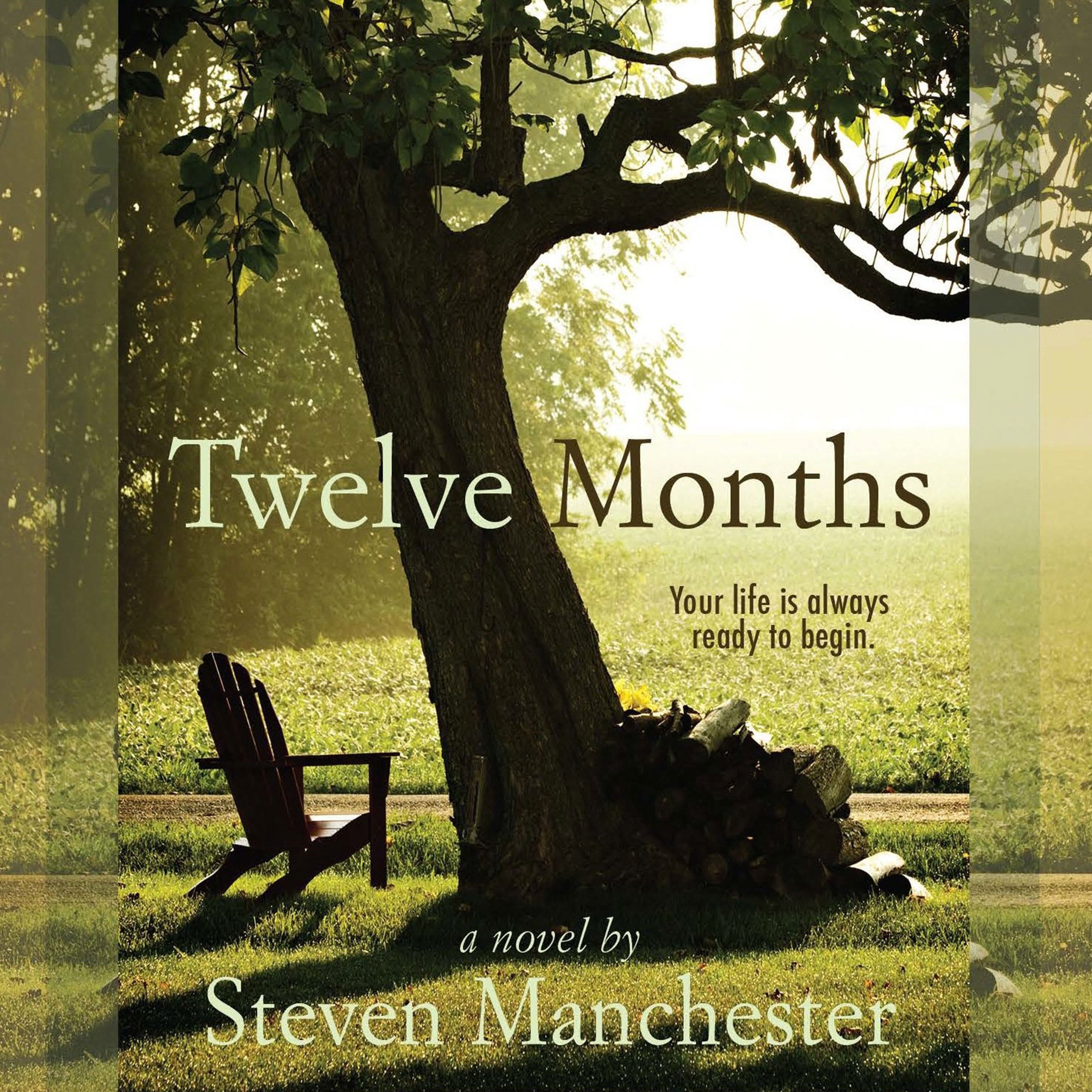 Cover art for Twelve Months