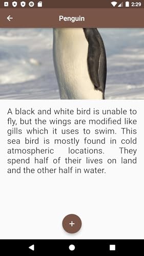Sea Animals SA