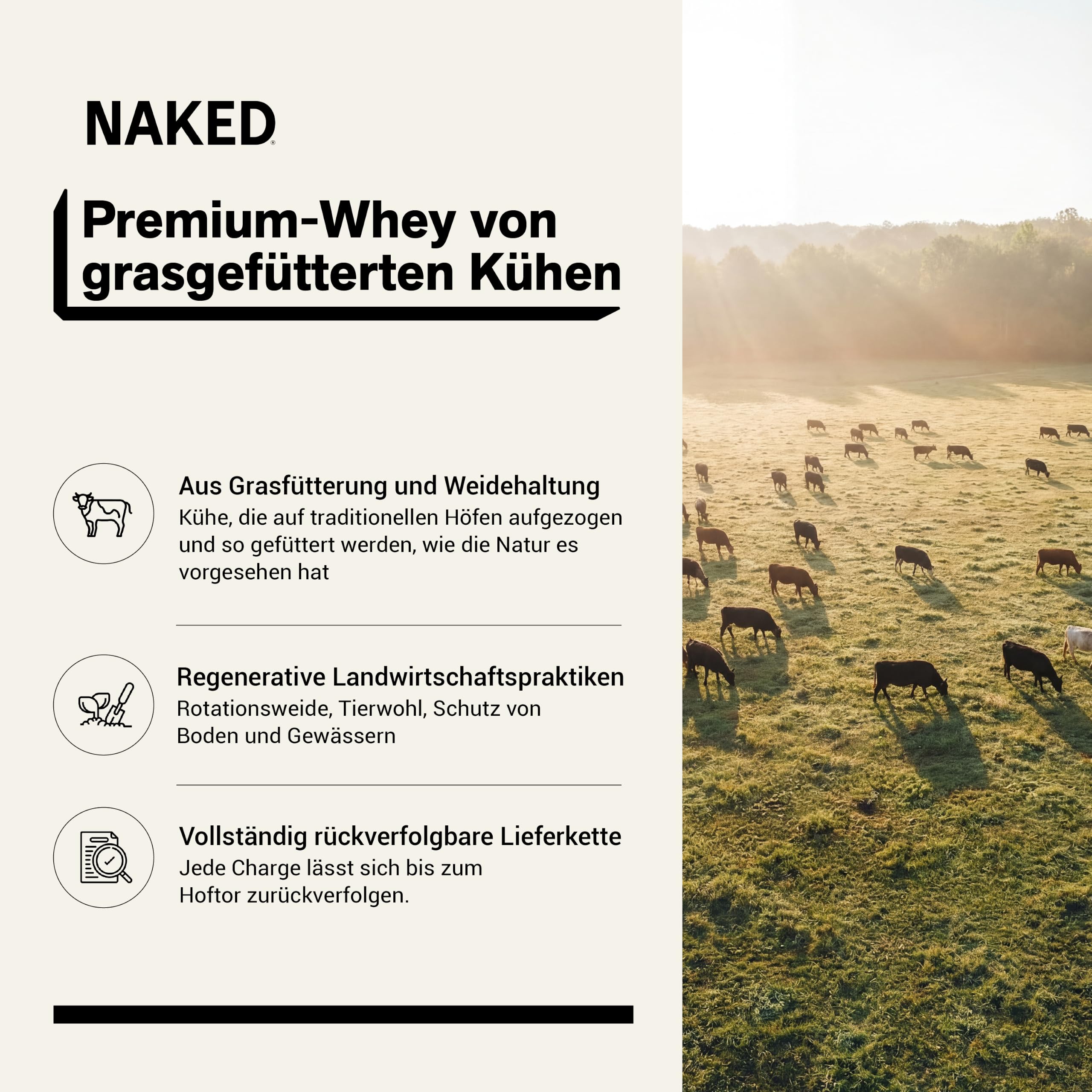 Naked Whey Protein Pulver (Eiweißpulver), Nur 1 Zutat, Grass Fed, Glutenfrei, Sojafrei, GMO-frei, 25g Protein und 6g BCAAs pro Messlöffel, Geschmacksneutral, 76 Portionen, 2280g