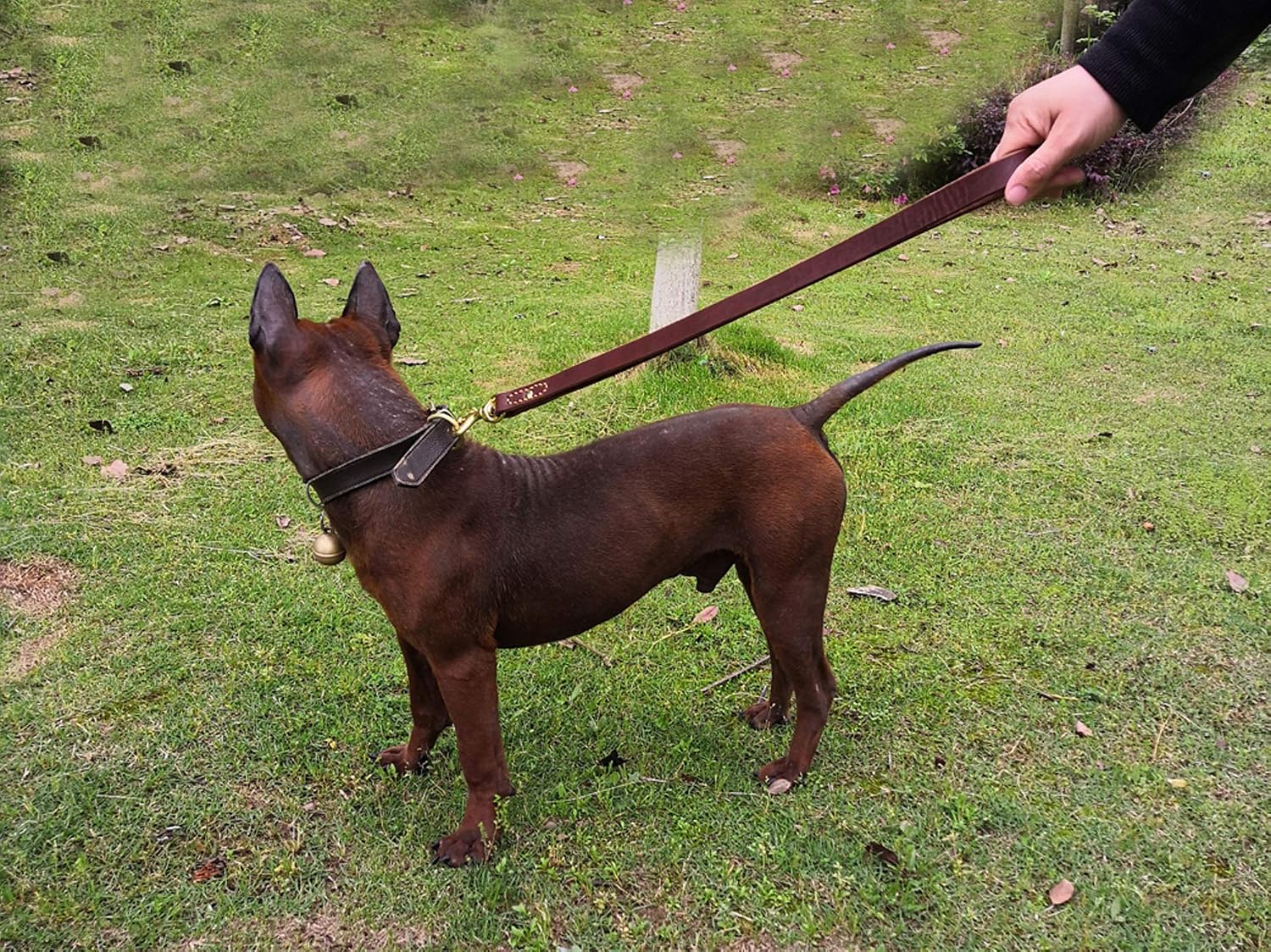 JUPUDA Short Leather Dog Leash Brown,20 x 4/5 inch,Durable Leather Dog Leash for Large Extra Large Dogs Walking-Training