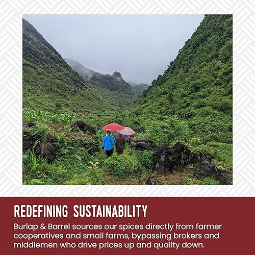 Miniatura 65 de Burlap & Barrel Cebolla tostada en polvo, sabor rico y sabroso, condimento de cebolla sabrosa para cocinar, como se ve en Shark Tank, tarro