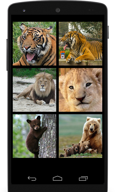 猛獣の鳴き声 トラ ライオン クマ Amazon Co Jp Appstore For Android