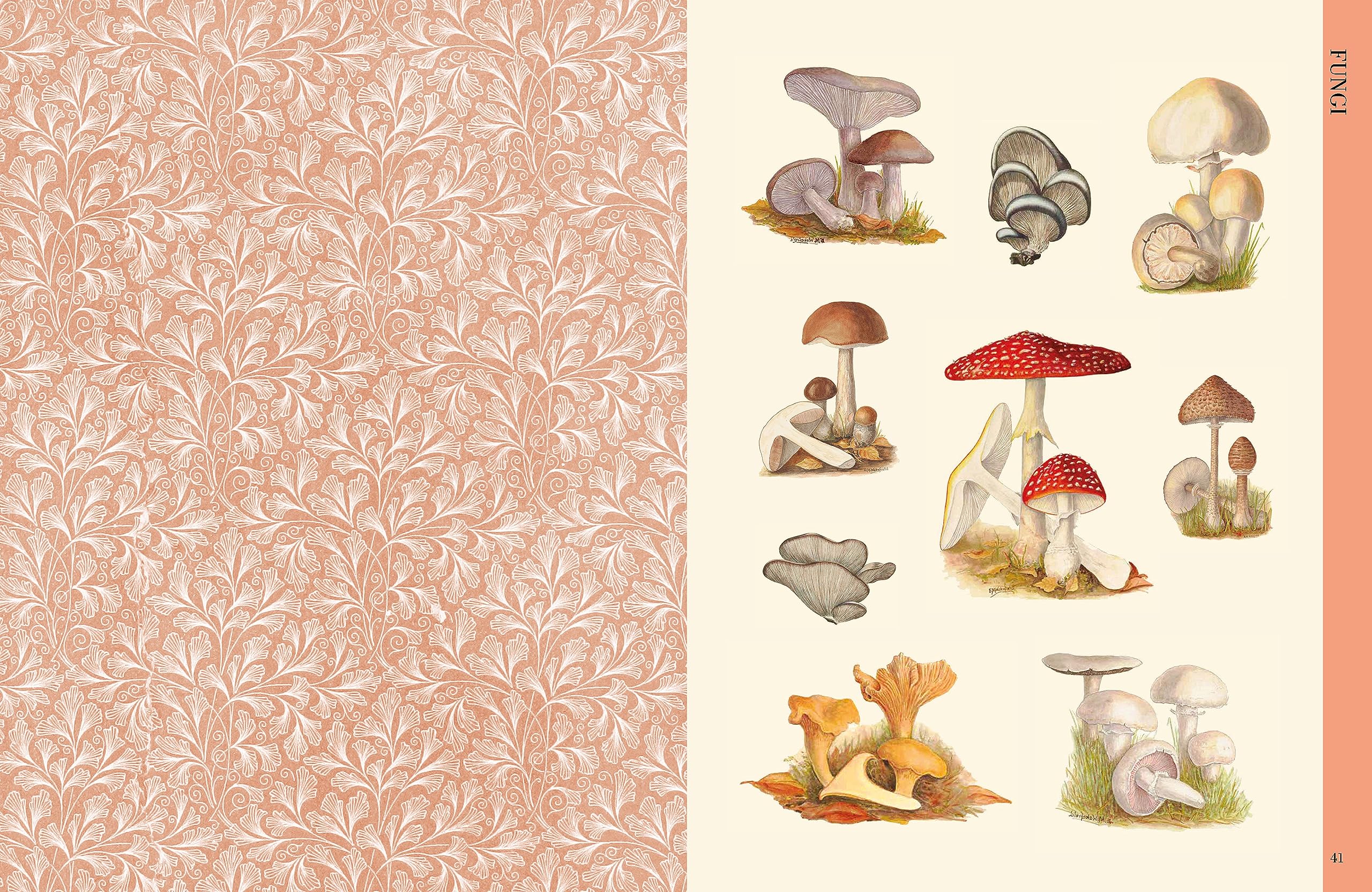 Botanical Art to Cut Out and Collage: Over 500 Botanical Illustrations to Inspire Creativity