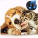 Voice Photo Animal Sound for Child