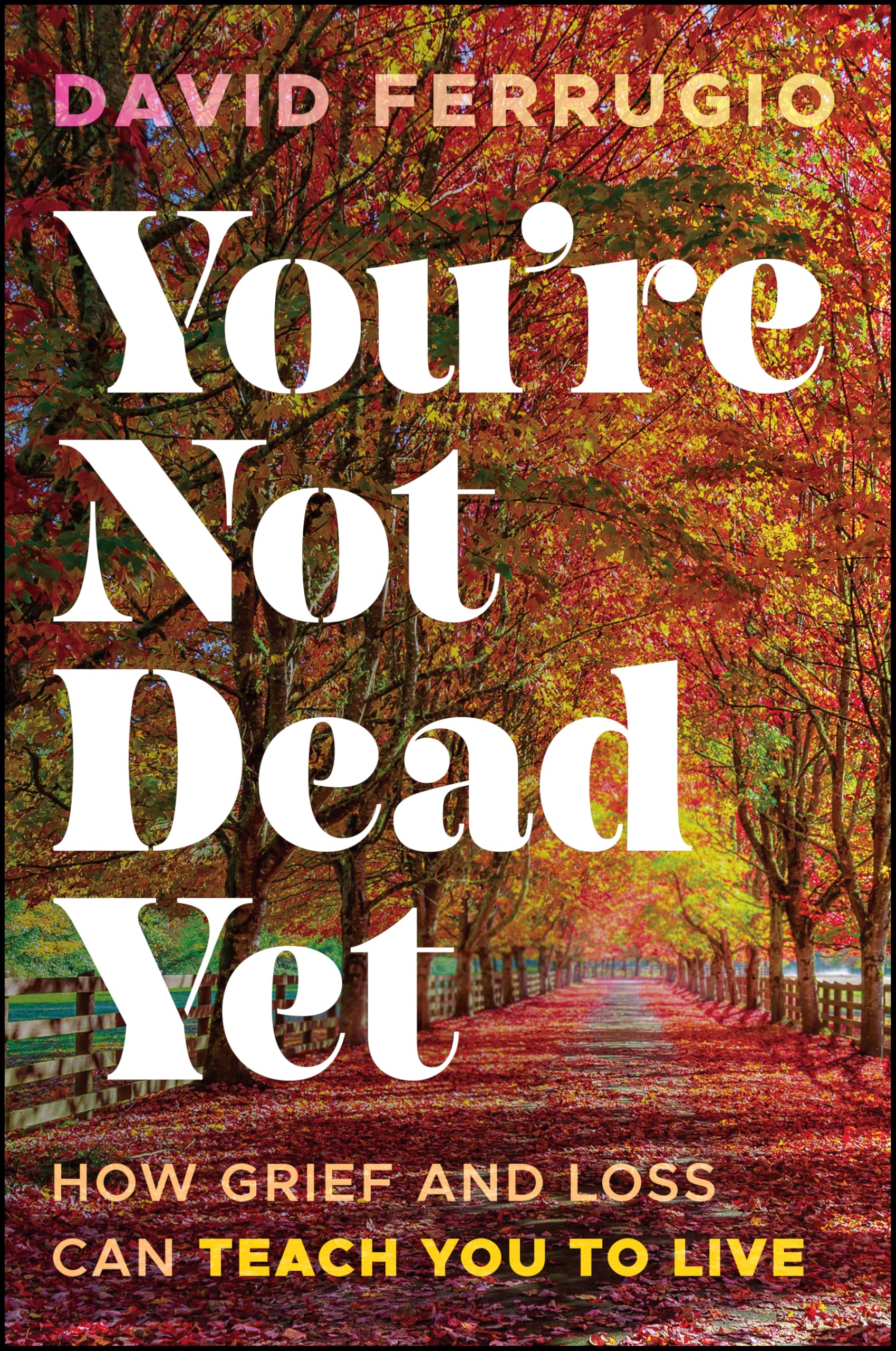 You're Not Dead Yet: How Grief and Loss Can Teach You to Live
