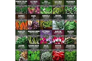 Hydroponic Seed for Indoor Garden Vegetables