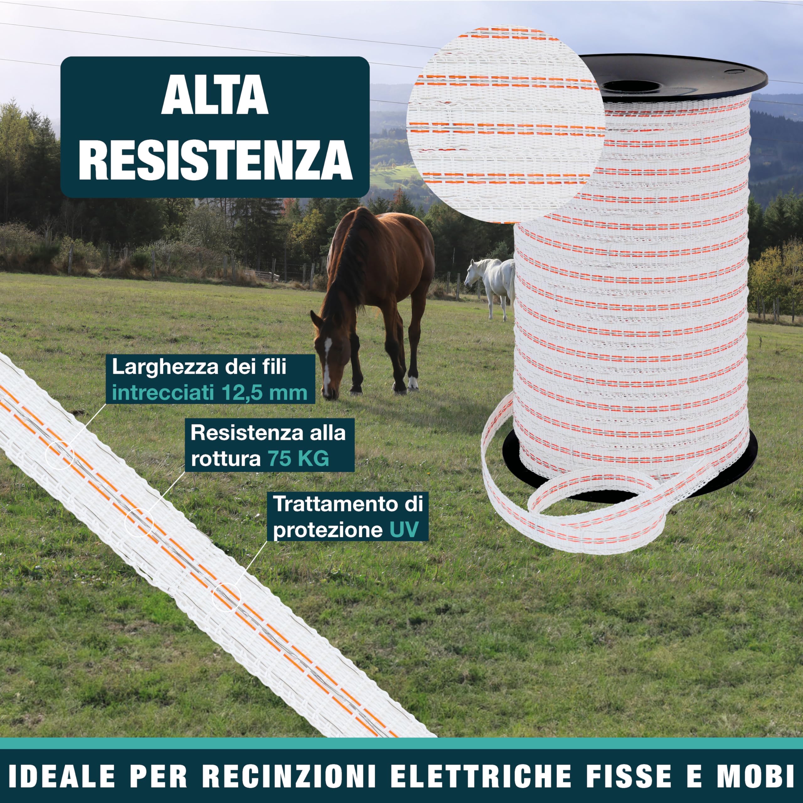 Nastro ZZ 12,5 mm - Recinzione elettrica per animali (mucca, capra, pecora, cavallo) - Bobina da 400 m - 4 fili in acciaio inox diametro 0,20 mm e 1 filo di rame diametro 0,30 mm