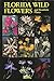 Florida Wild Flowers and Roadside Plants
