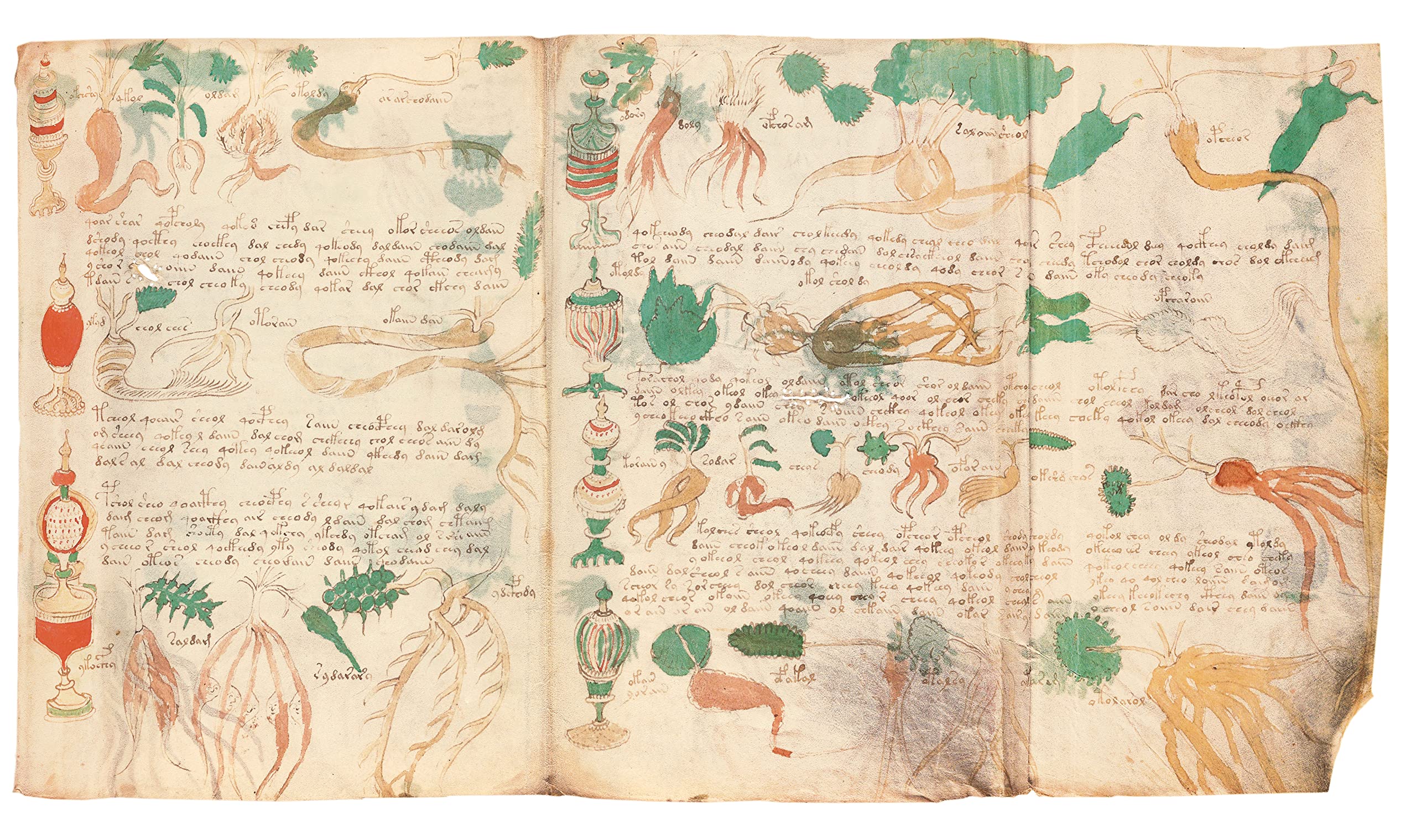 Das Voynich Manuskript: Gesamtdarstellung aller Tafeln der geheimnisvollen illuminierten Handschrift