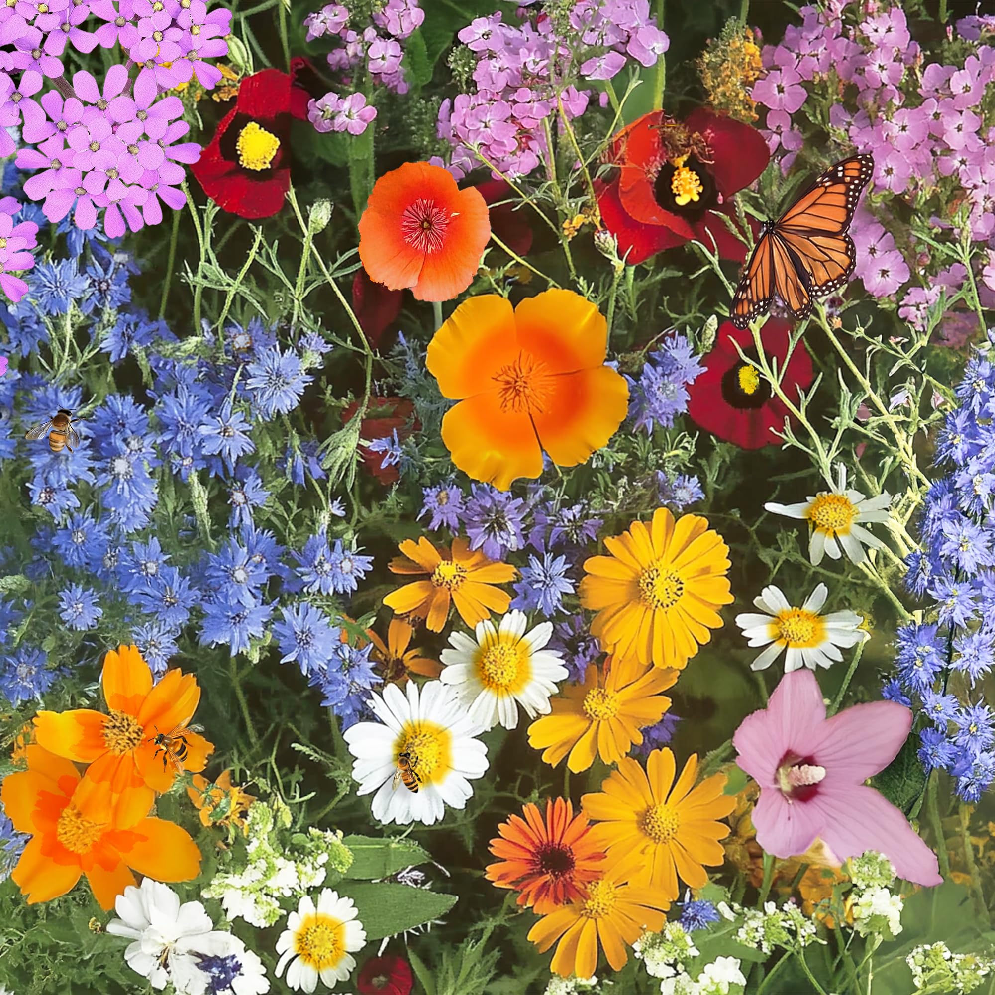 Ferry-Morse Annual Bulk Wildflower Seeds, 500,000+, 1 lb