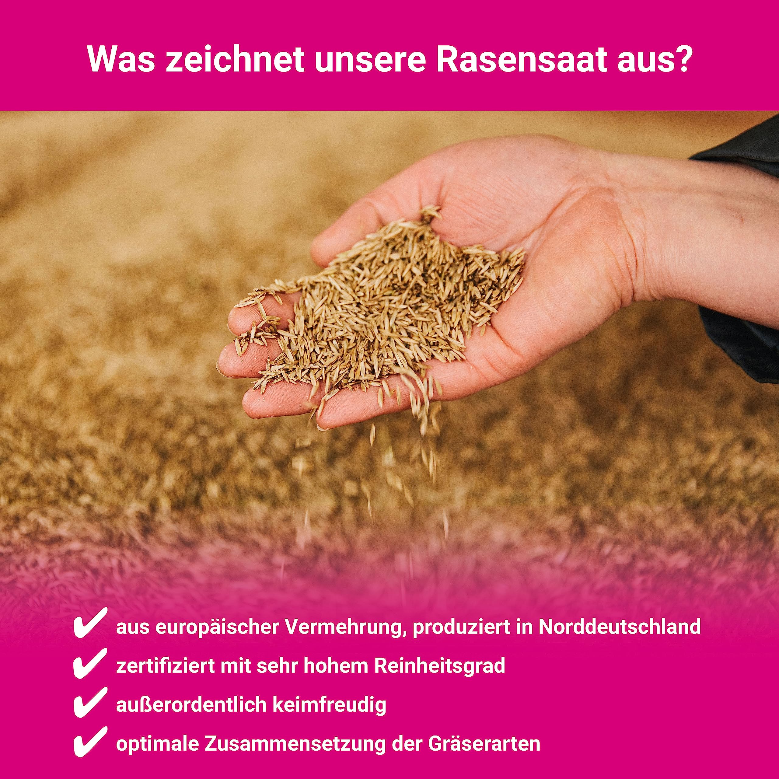 Trockenrasen schnellkeimende Rasensamen 10 kg für 250 m², ideal zur Nachsaat oder Neuanlage, dürreresistent + robuste Rasensaat, trockenresistente Grassamen Samen