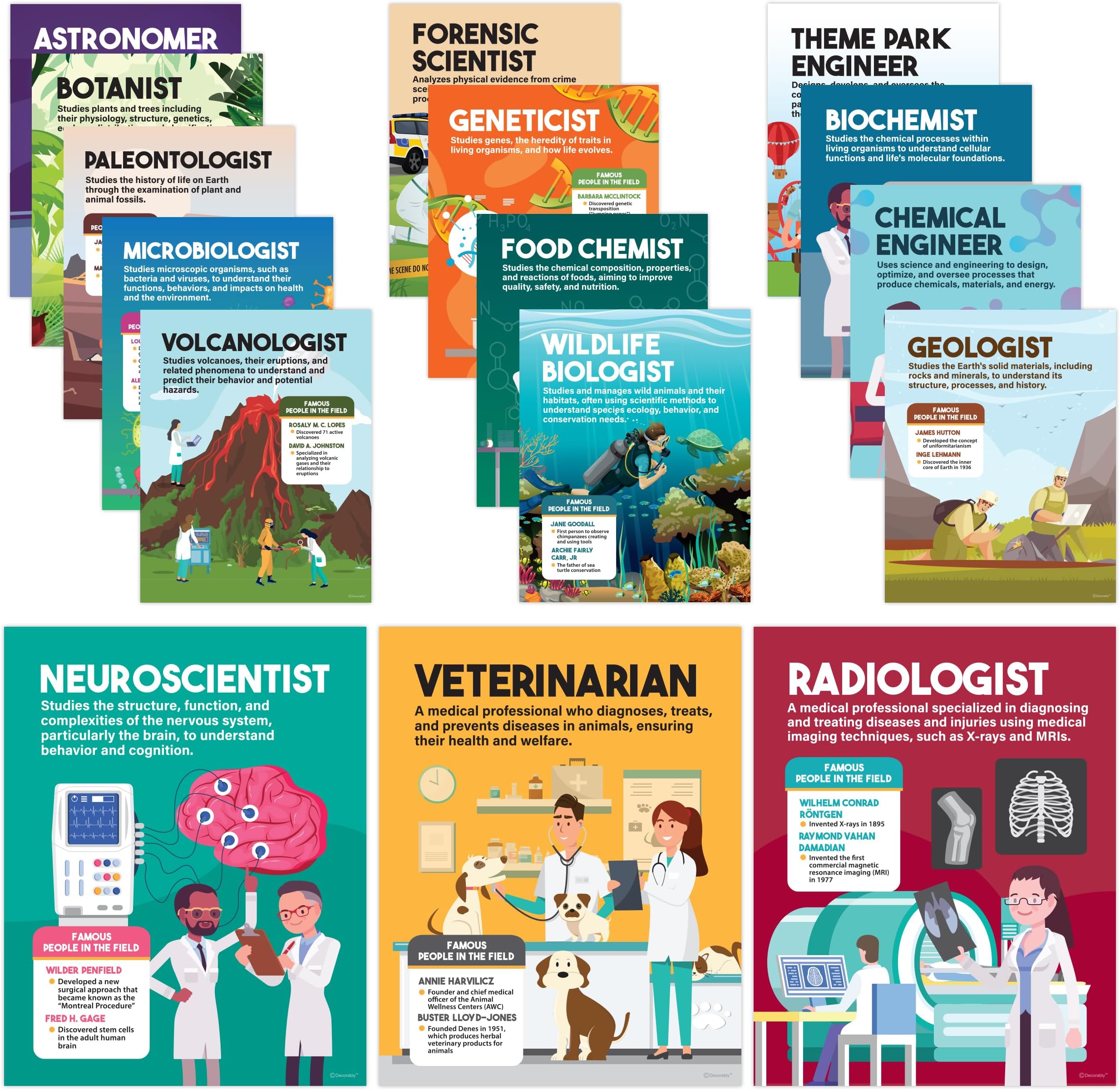 Decorably 16 Career in Science Posters for Classroom Middle School, 11x14in Matte-Laminated Educational Science Classroom Decor - Bulletin Boards, Home Study Room