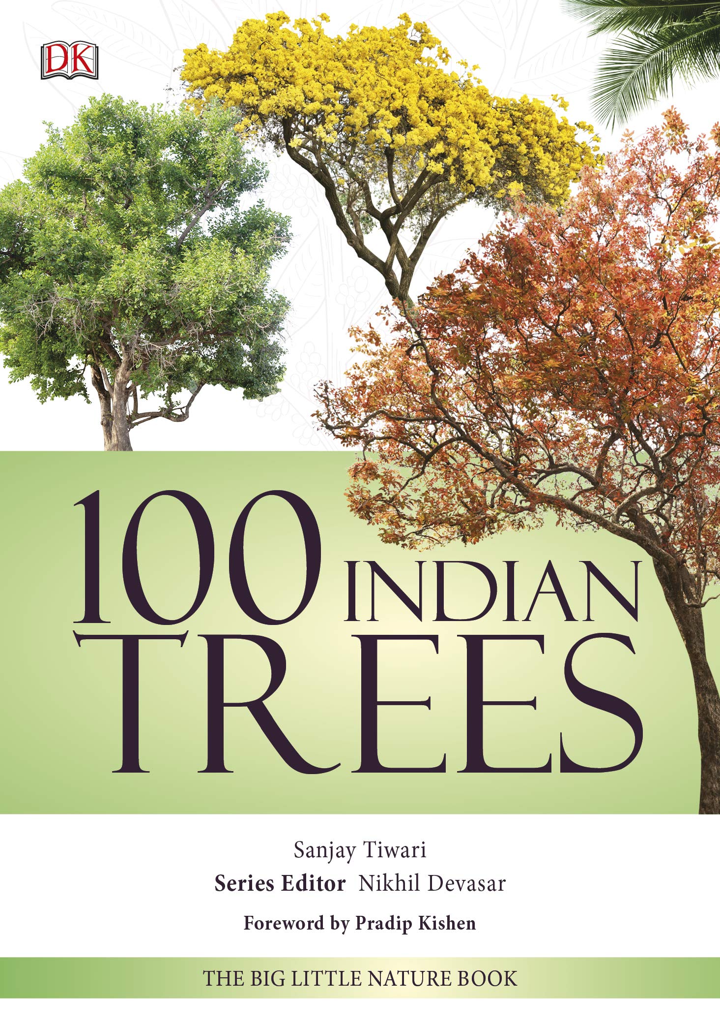 Buy 100 Indian Trees The Big Little Nature Book Paperback 1 November