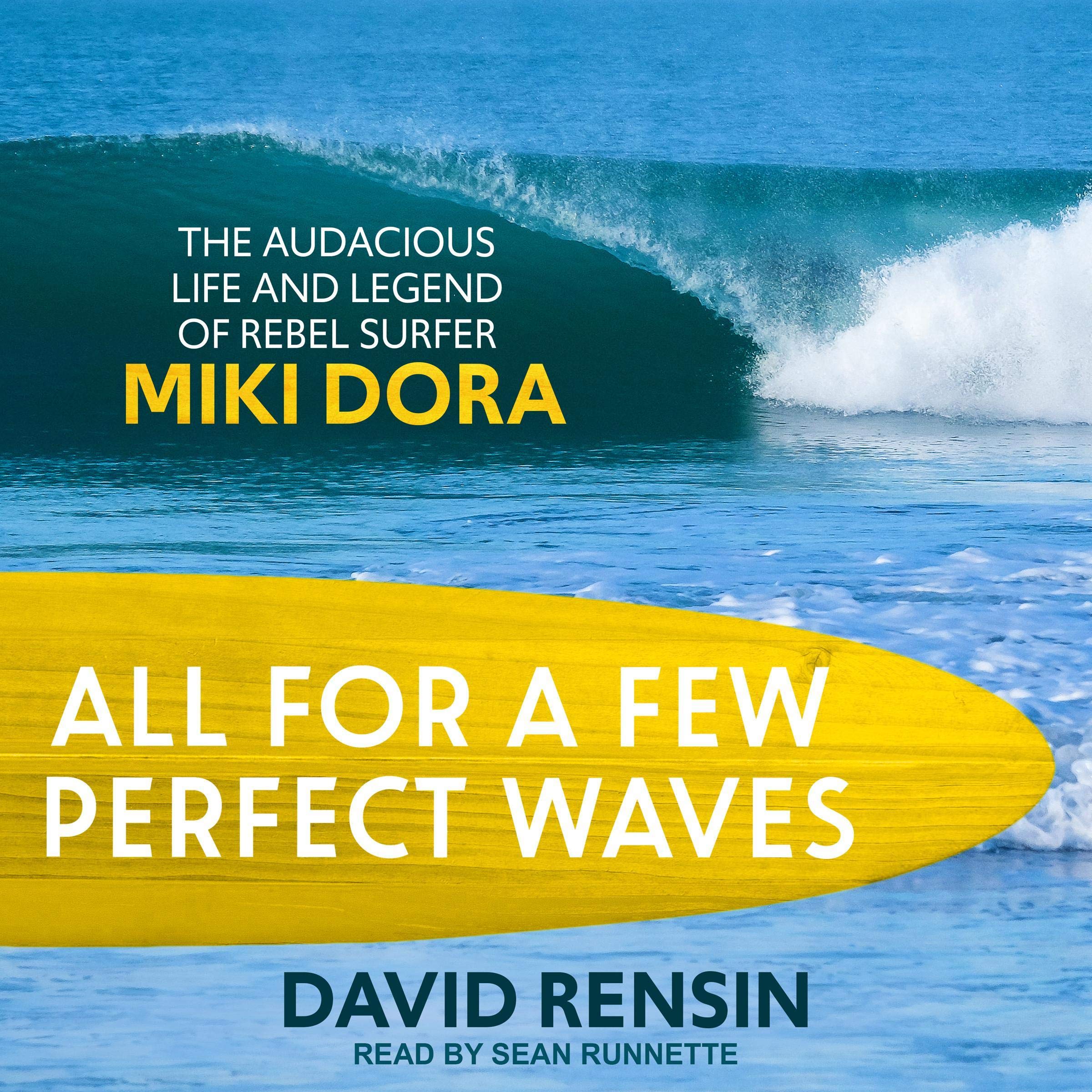 Cover art for All for a Few Perfect Waves