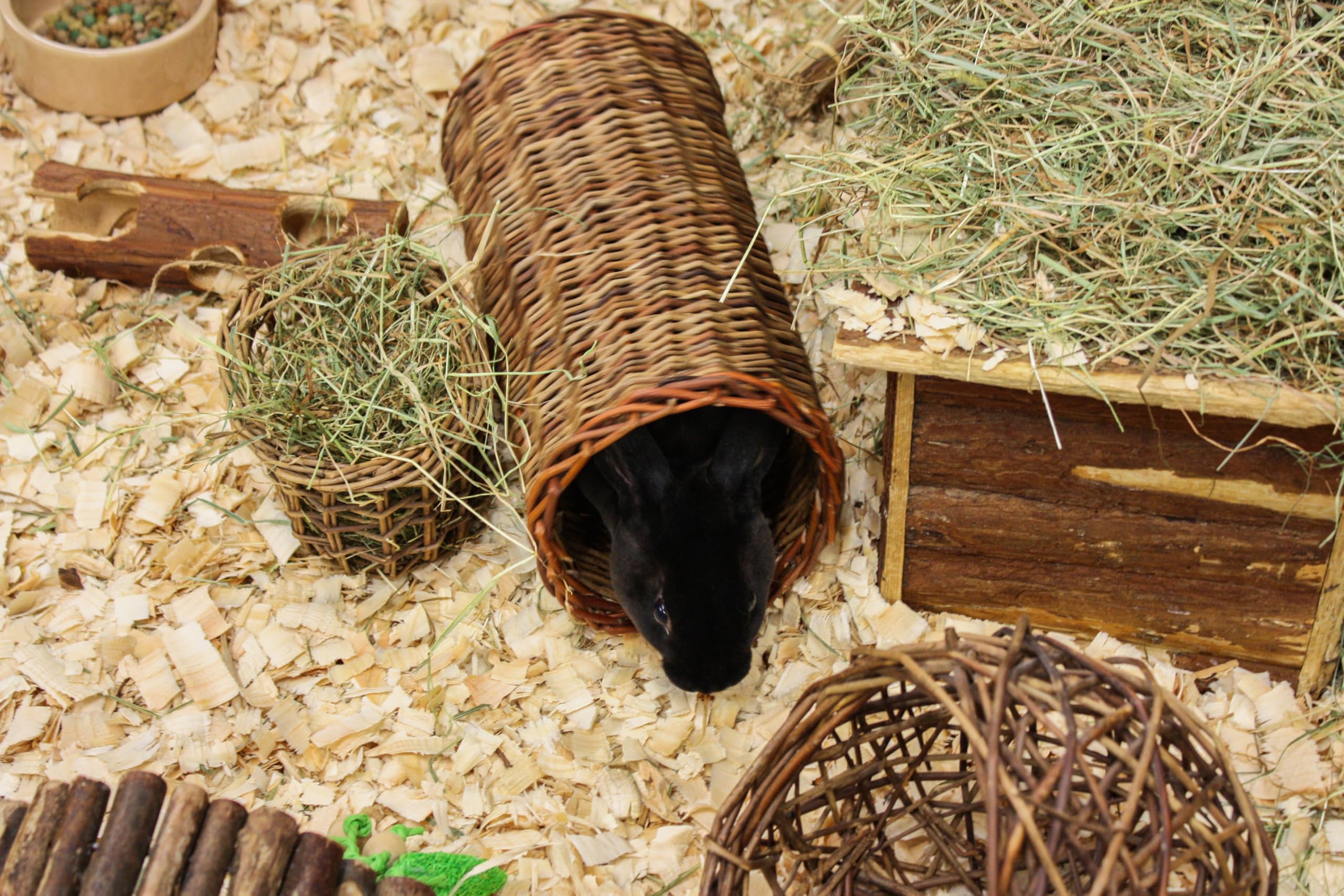 Happy Pet Weiden Tube, groß