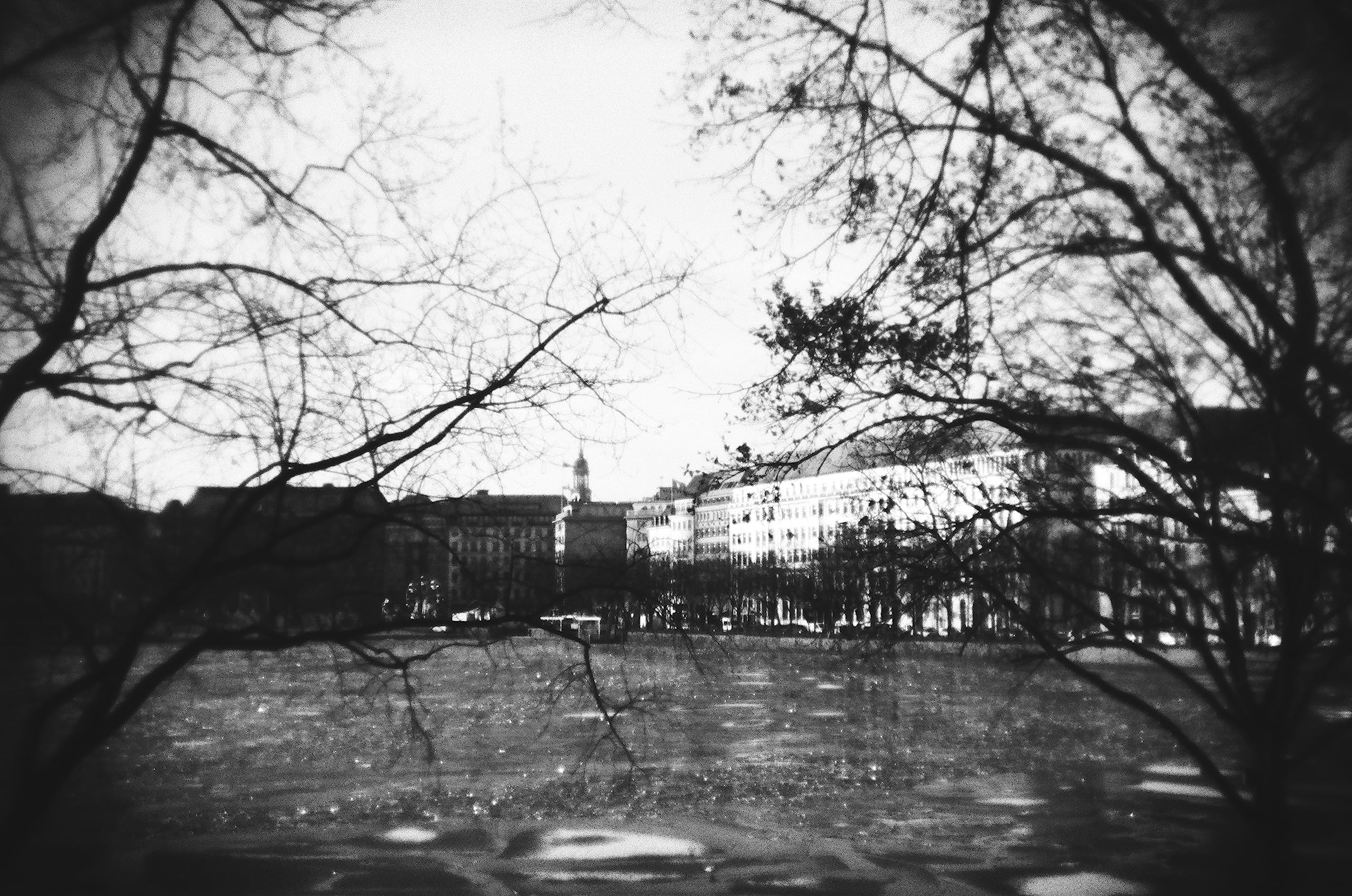 Holga artLINE Appareil Photo 35 FC avec Flash Noir