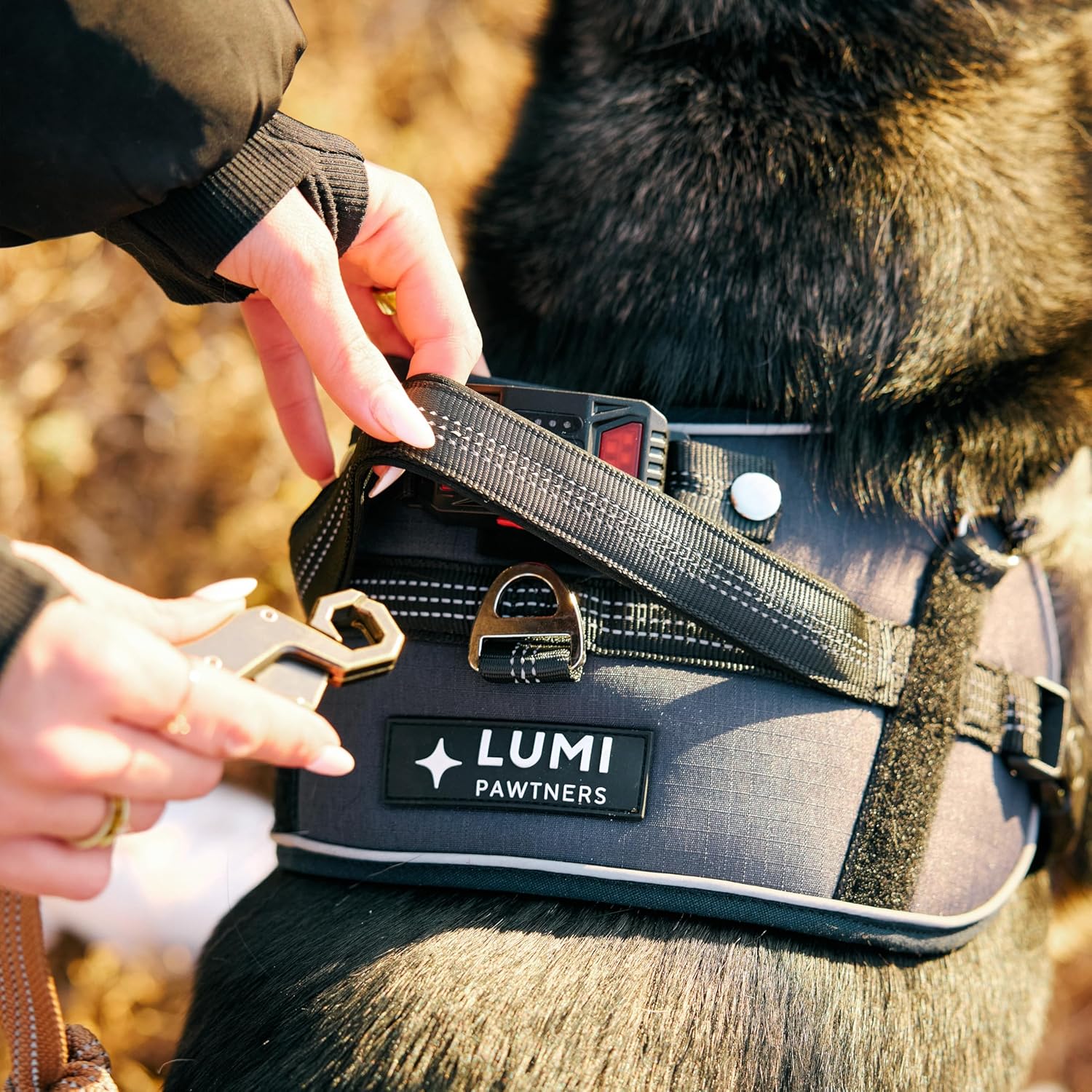 Lumi One LED Dog Harness for Night Visibility and Safety, Patent Pending – High-Visibility Light-Up Dog Vest with 1000 Lumen LED, Rechargeable Battery, Adjustable Fit, Reflective Trim (Black, Large)